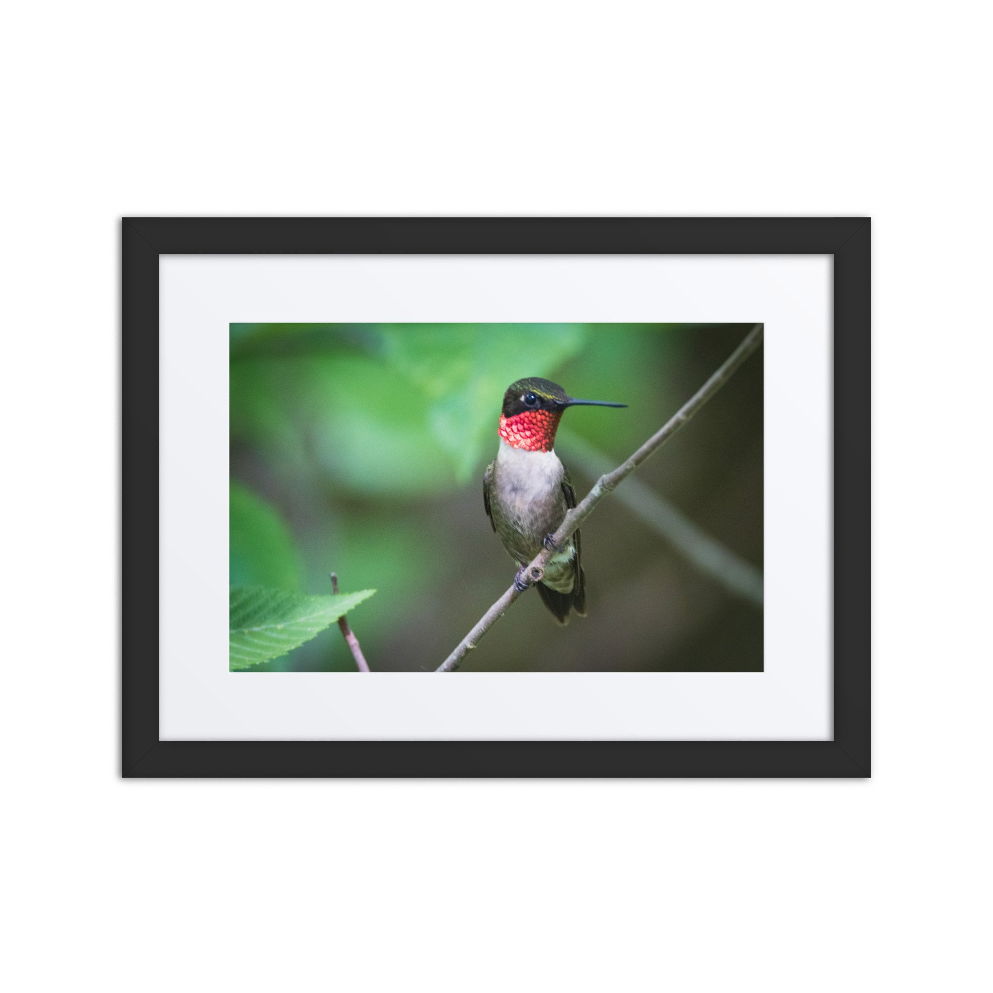 matte-paper-framed-poster-with-mat-(in)-black-12x16-front-6730ecbfd91ec.jpg