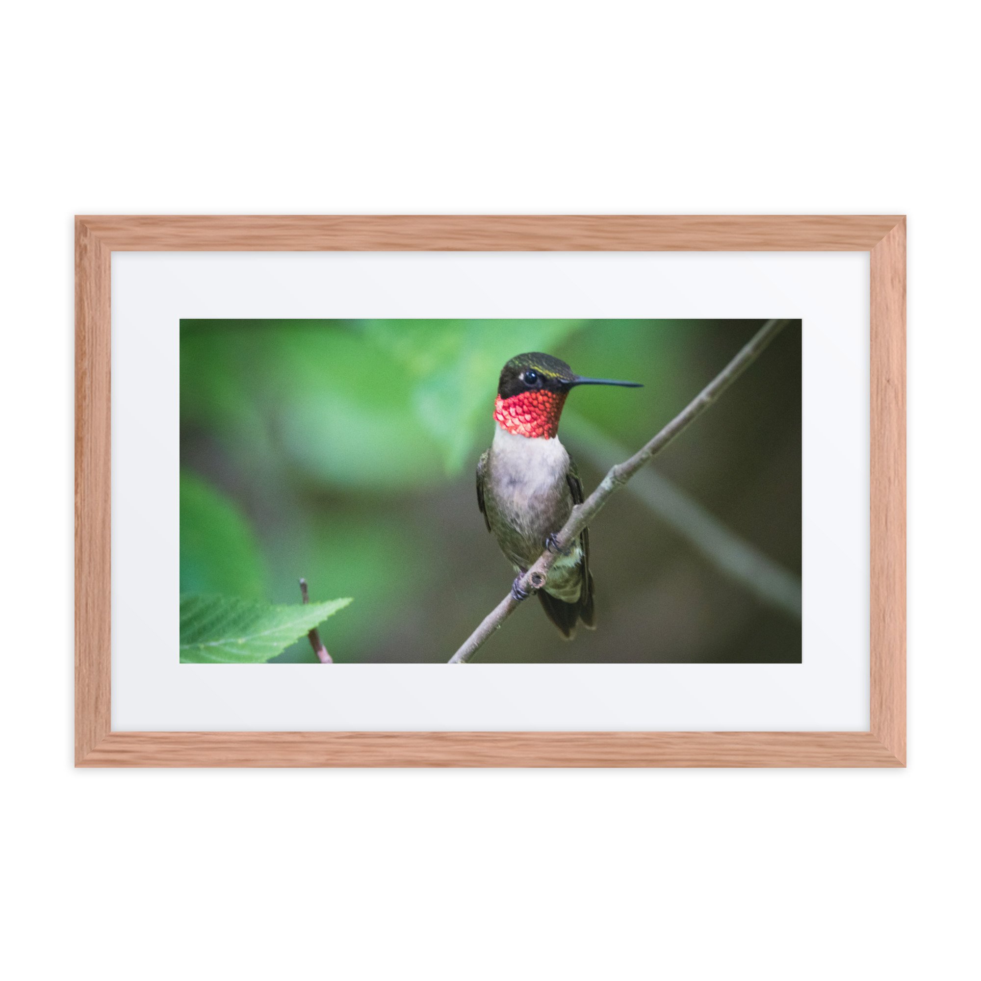 matte-paper-framed-poster-with-mat-(in)-red-oak-12x18-front-6730ecbfd994b.jpg