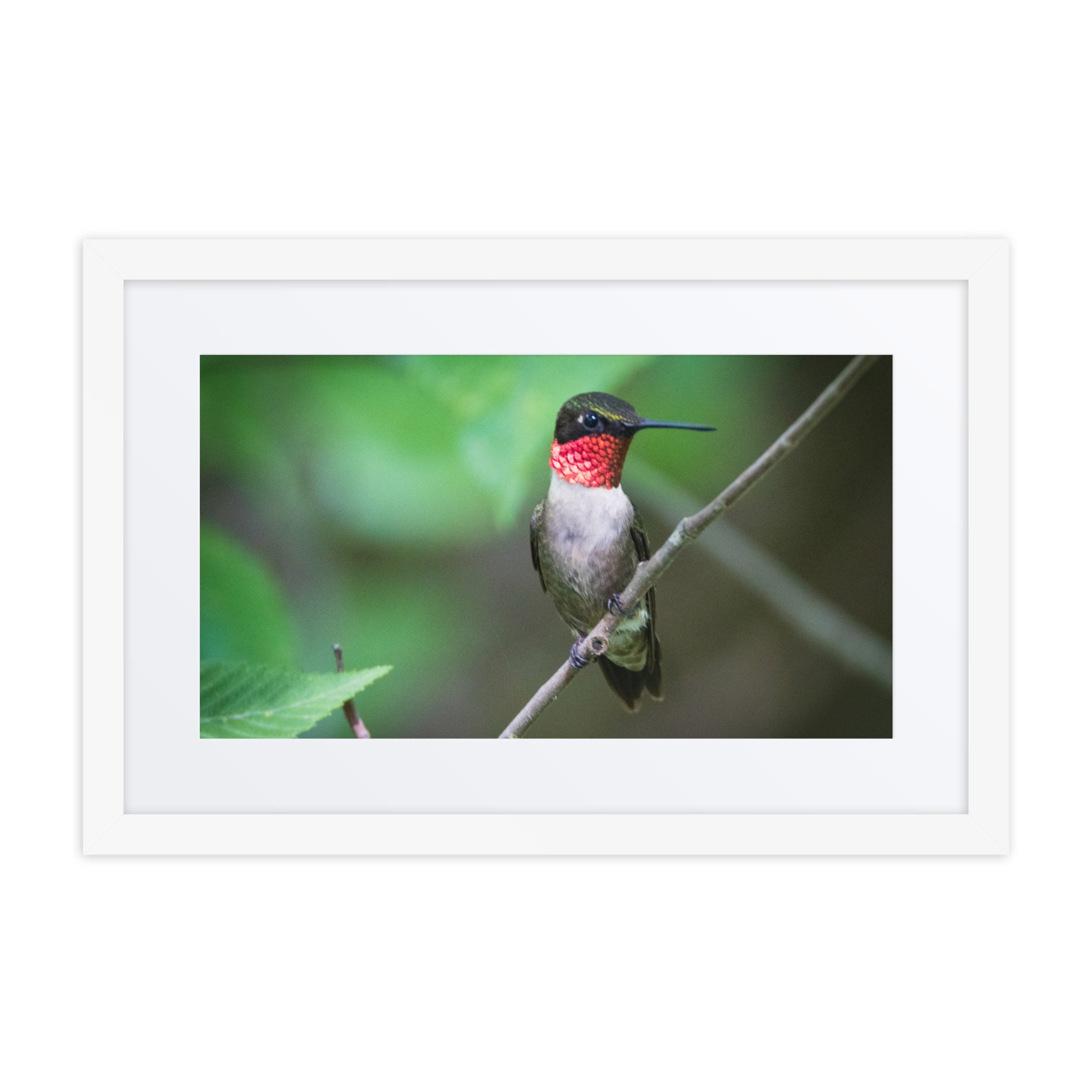 matte-paper-framed-poster-with-mat-(in)-white-12x18-front-6730ecbfd9a45.jpg