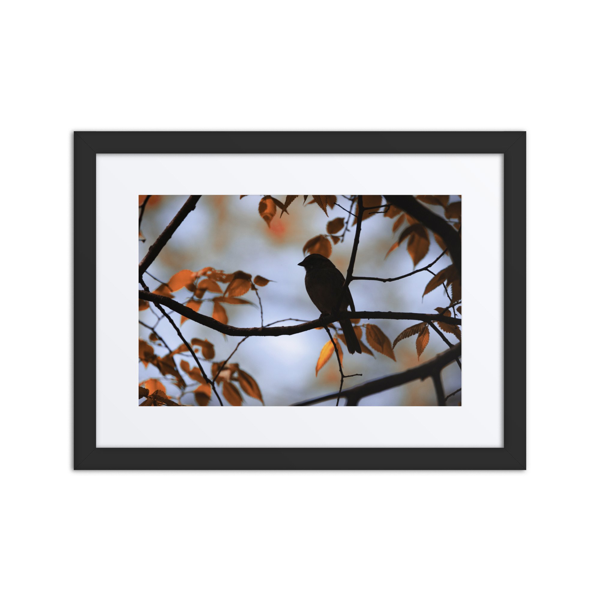 matte-paper-framed-poster-with-mat-(in)-black-12x16-front-6730f54e438cb.jpg