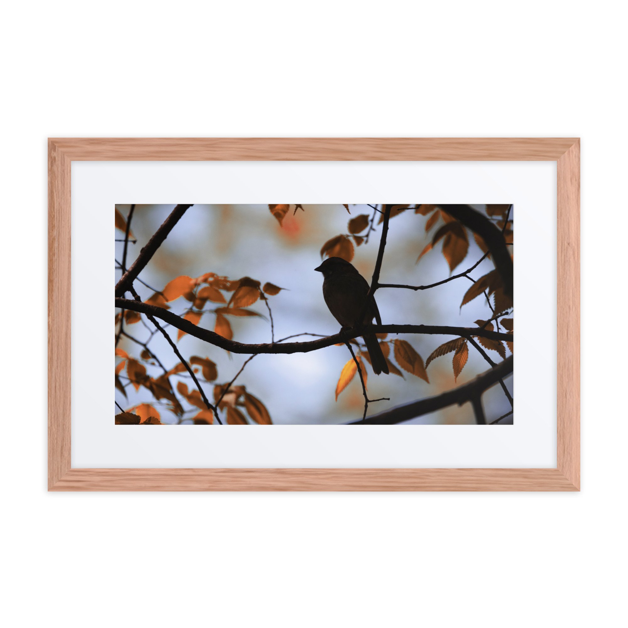 matte-paper-framed-poster-with-mat-(in)-red-oak-12x18-front-6730f54e452dc.jpg