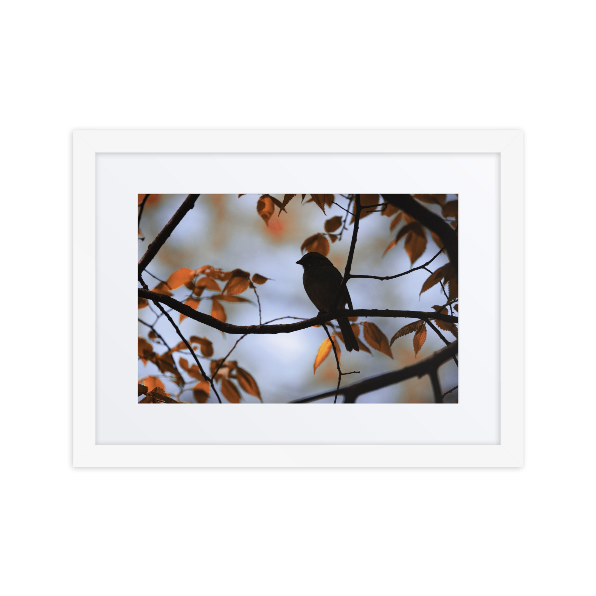 matte-paper-framed-poster-with-mat-(in)-white-12x16-front-6730f54e45366.jpg