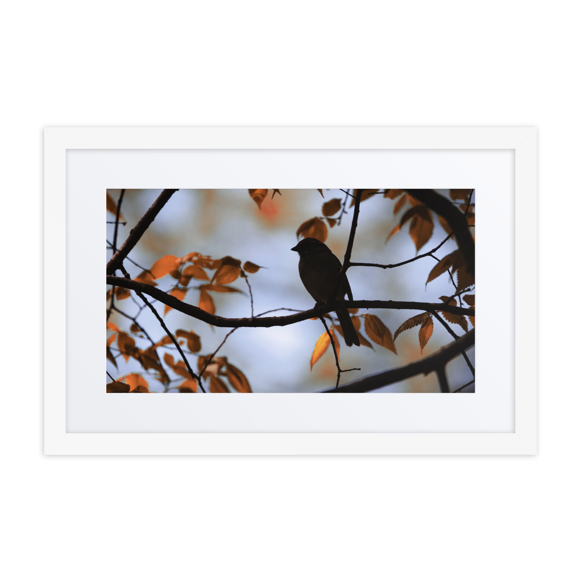 matte-paper-framed-poster-with-mat-(in)-white-12x18-front-6730f54e453f0.jpg