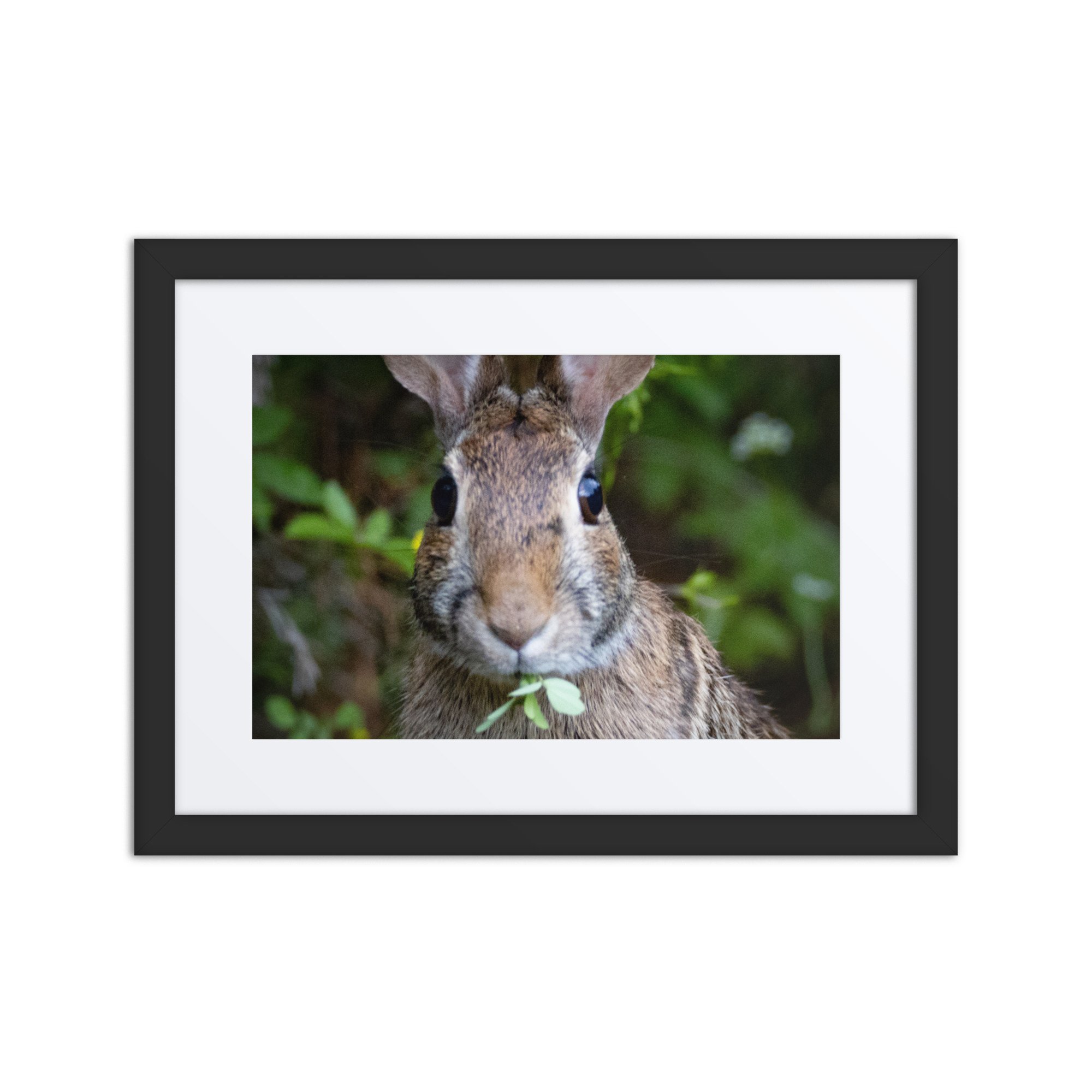 matte-paper-framed-poster-with-mat-(in)-black-12x16-front-6730f82581919.jpg