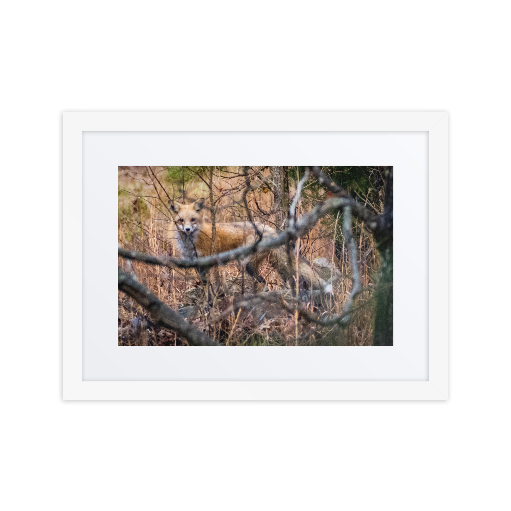 matte-paper-framed-poster-with-mat-(in)-white-12x16-front-6730fbe9e66d8.jpg