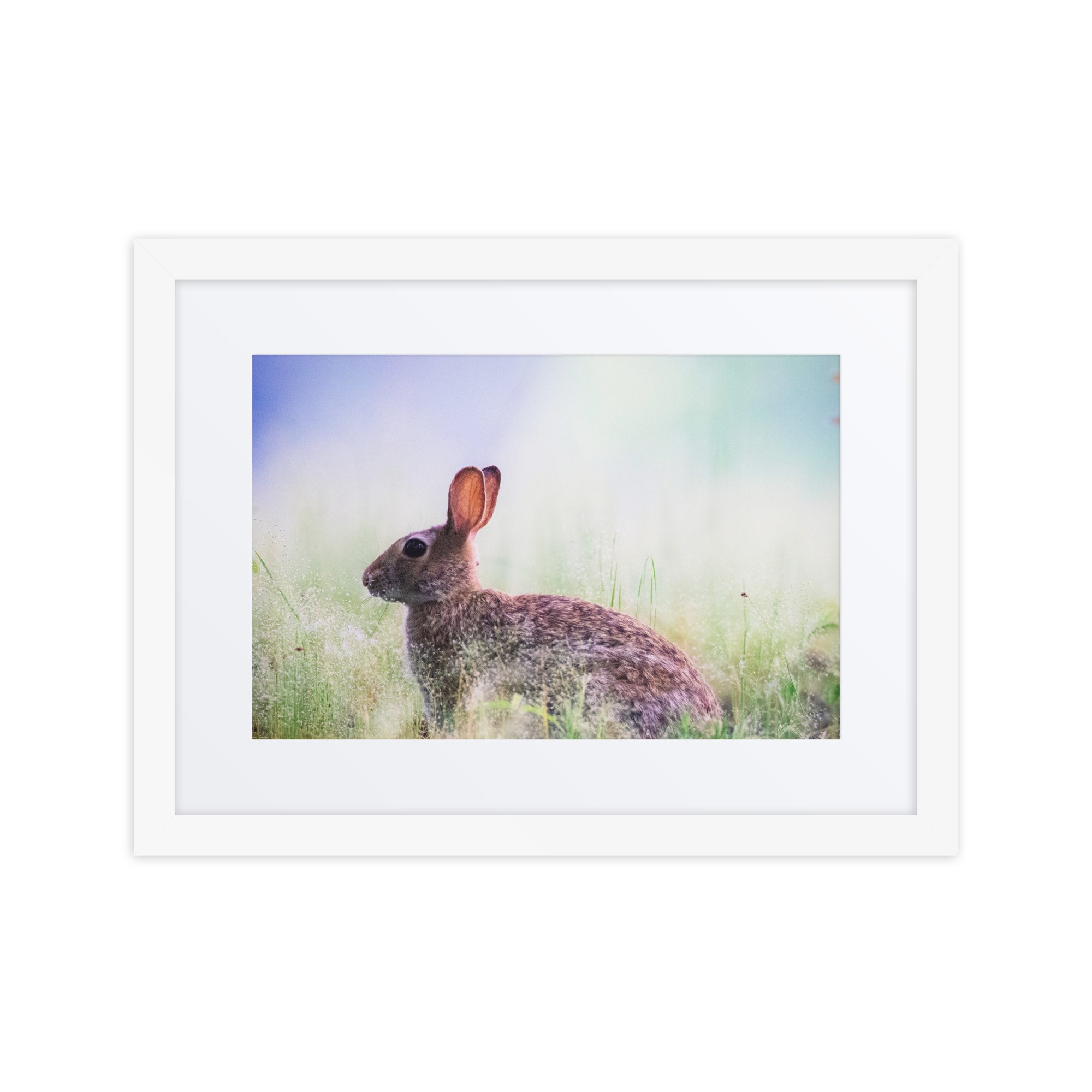 matte-paper-framed-poster-with-mat-(in)-white-12x16-front-6731118aa0b18.jpg