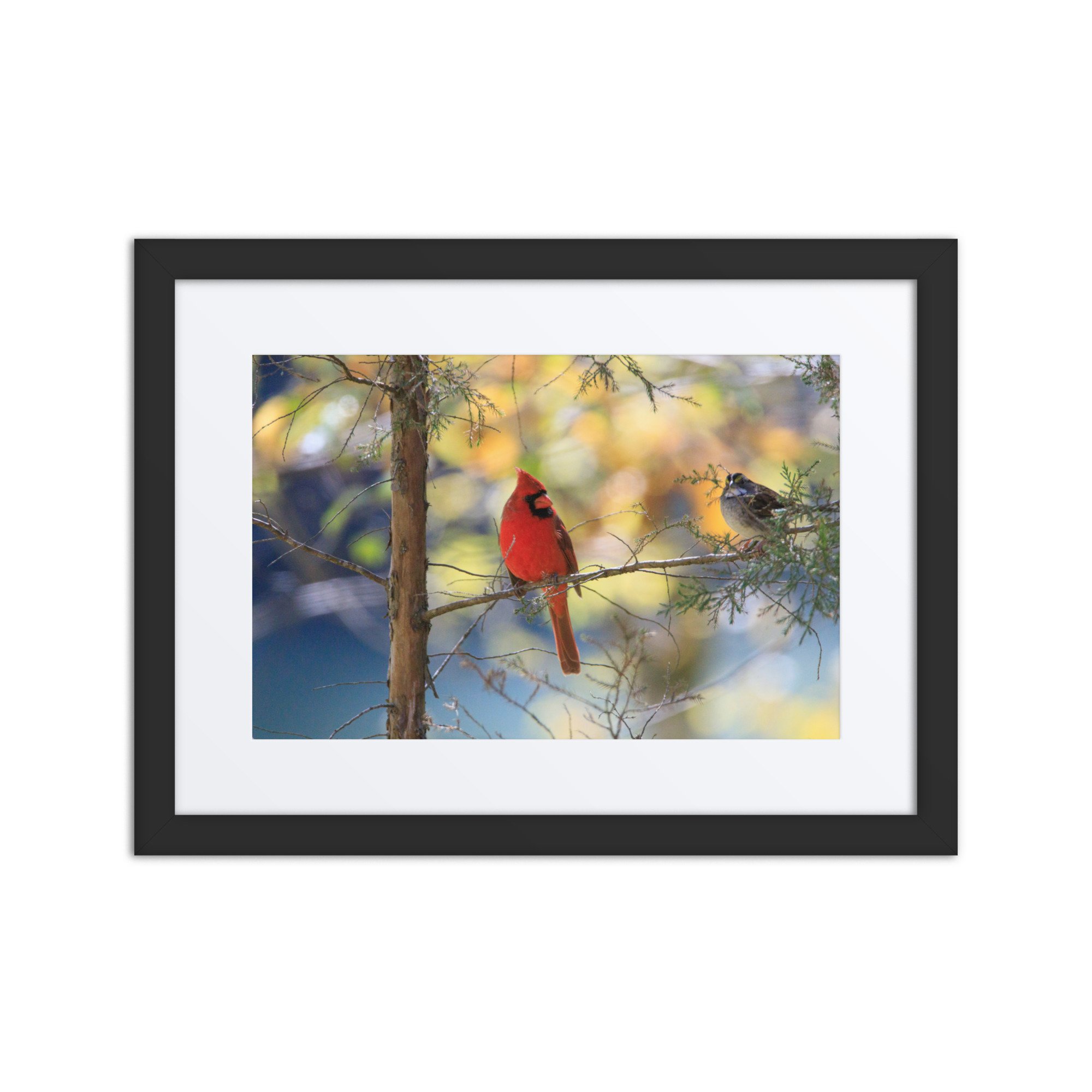 matte-paper-framed-poster-with-mat-(in)-black-12x16-front-673114f6eabce.jpg