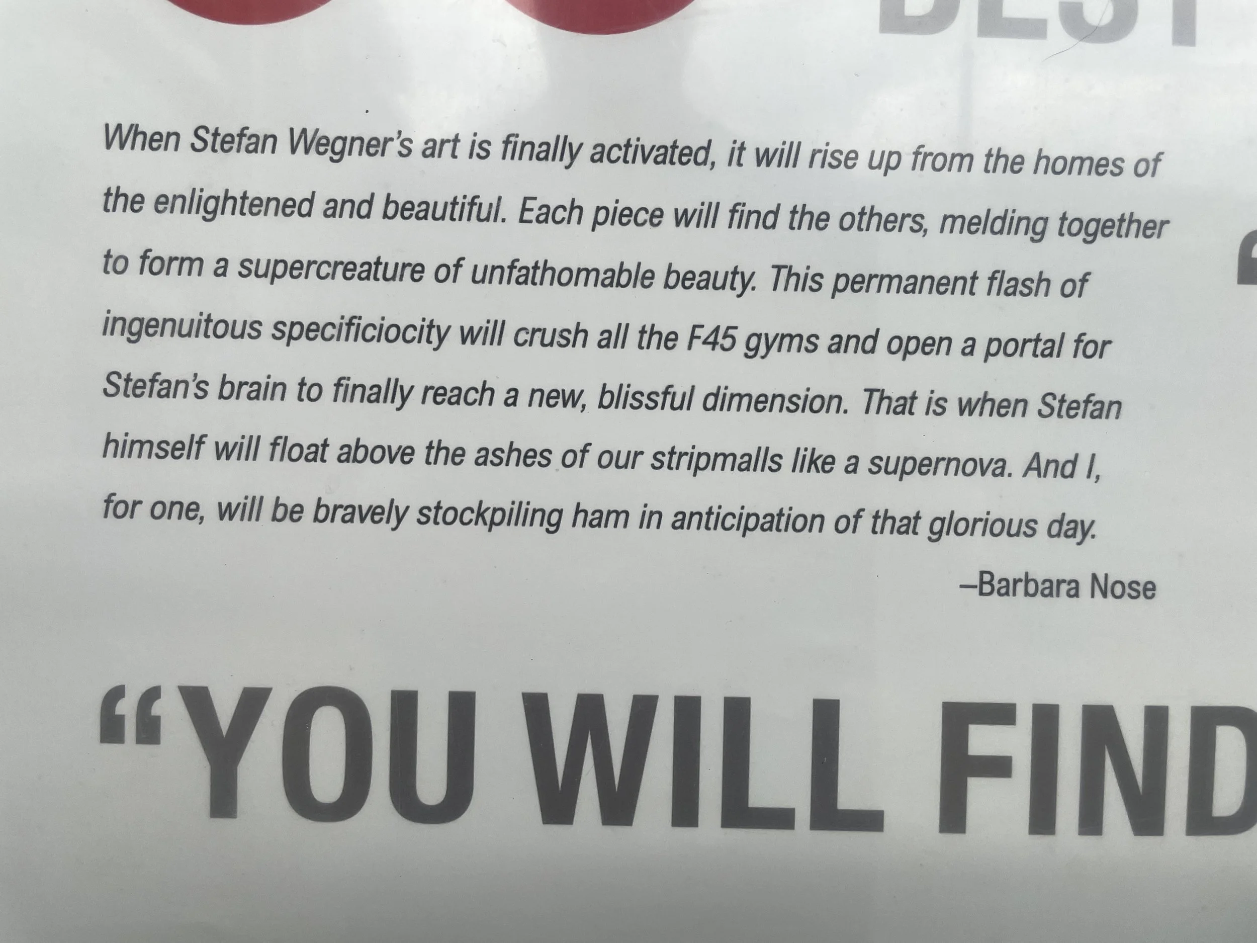 Stefan Wegner Much Too Much Conceptual Art Solo Show