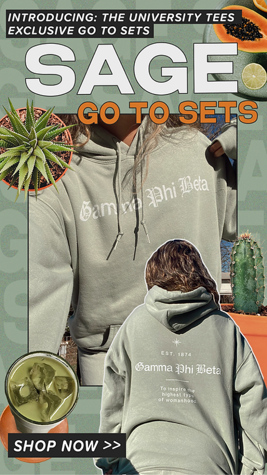 New Color: Sage Go-To Sets Instagram Story