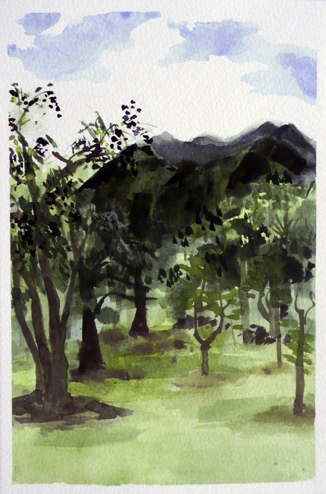 "Kukui Trees" watercolor on paper 9" x 6"