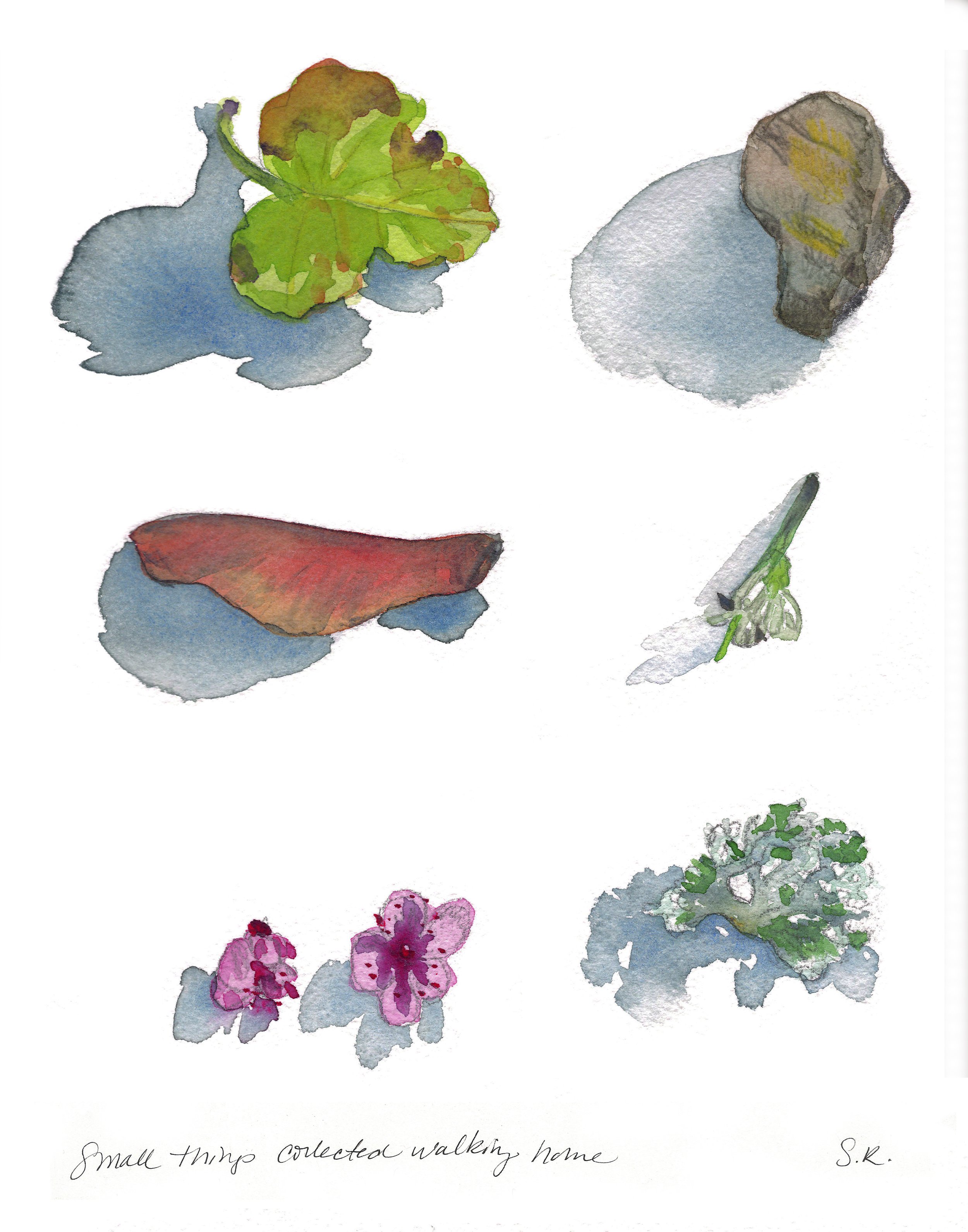"Small Things Collected"
watercolor on paper 11" x 8 ½"
