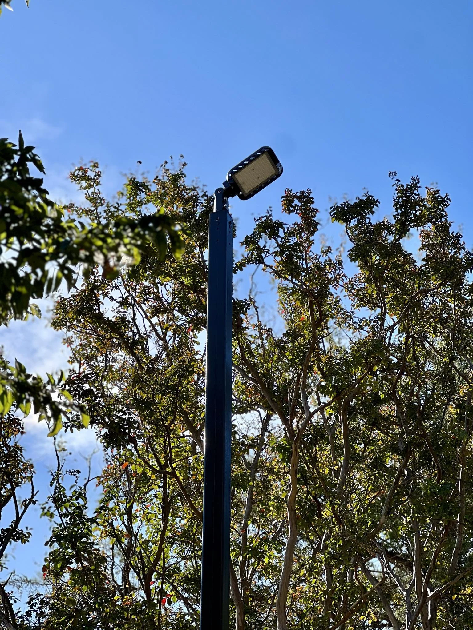 cd8d576f-2986-49a6-95e0-5ddb7271a362.jfif