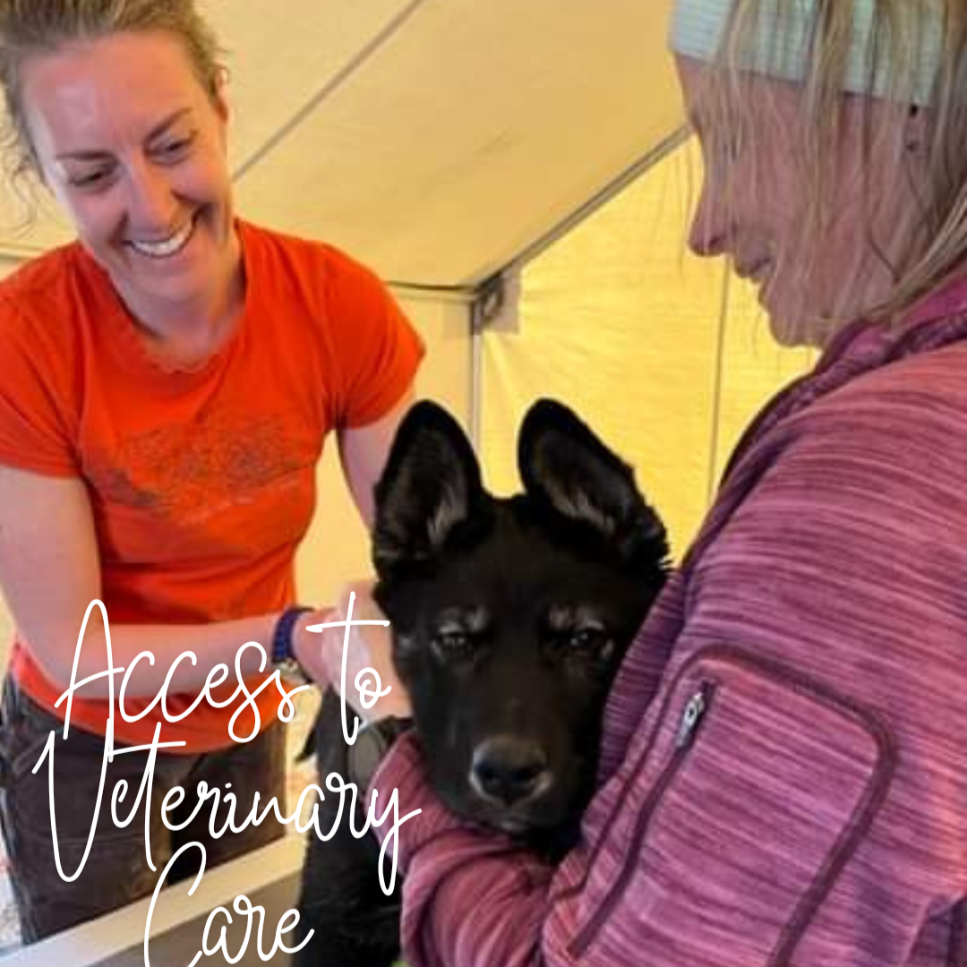 Access to Veterinary Care: A One Health Issue