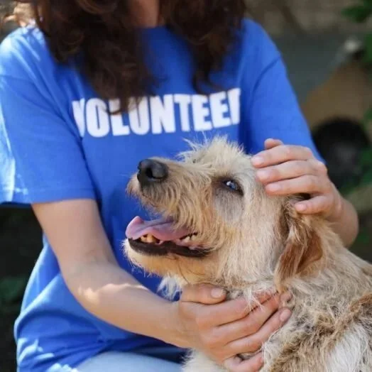 Volunteering = Real Community Impact