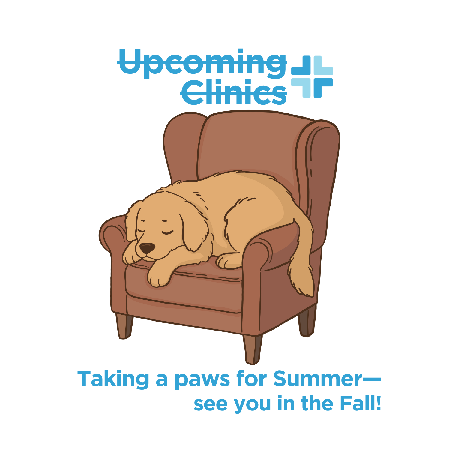 August 2026: On Summer Vacay