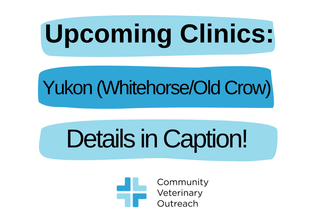October 2025: CVO Regions hosting clinics! — Vet Outreach