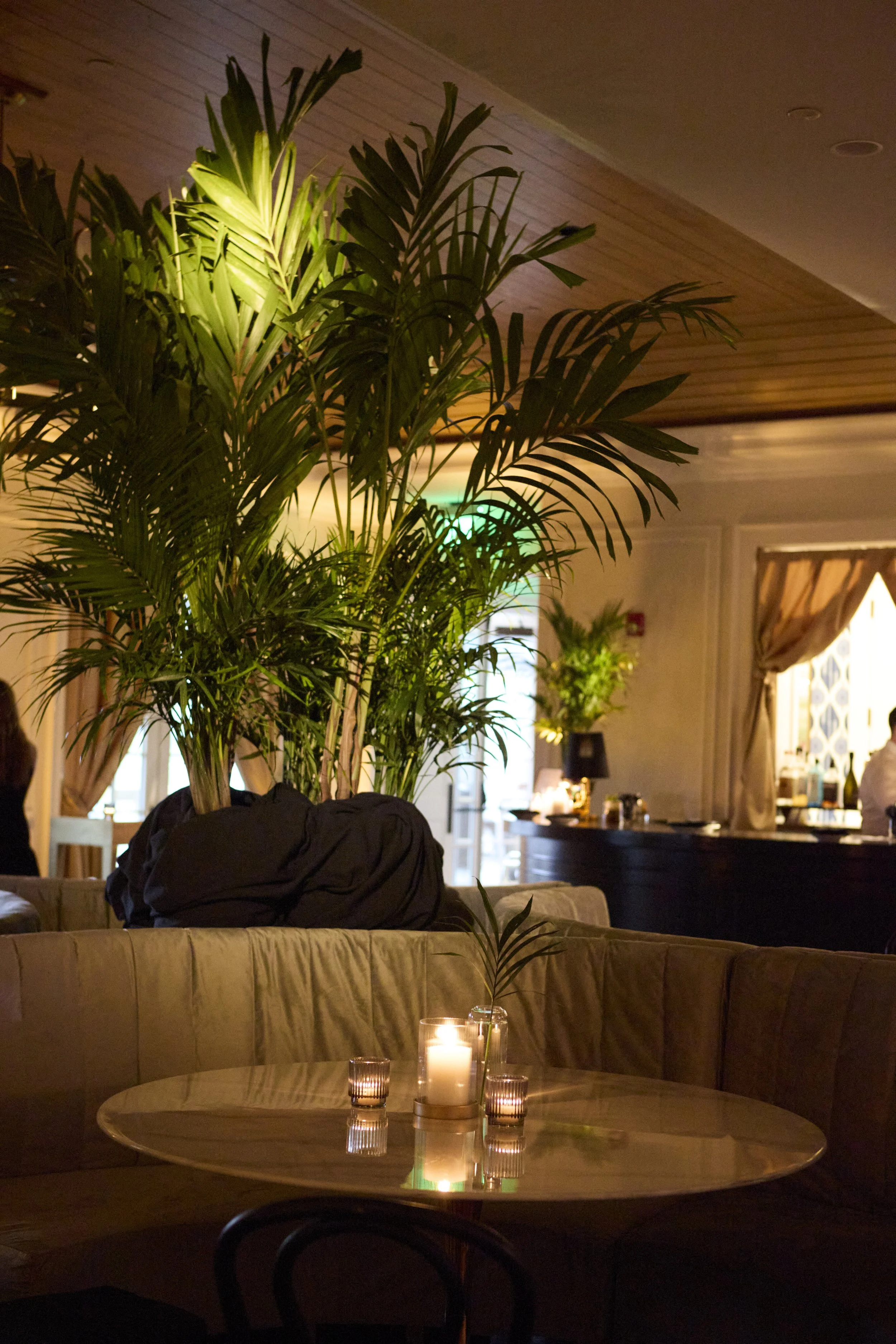 A cozy restaurant or lounge setting with a large indoor plant in the foreground, a candle in a glass holder on a round table, and soft ambient lighting creating a warm atmosphere.