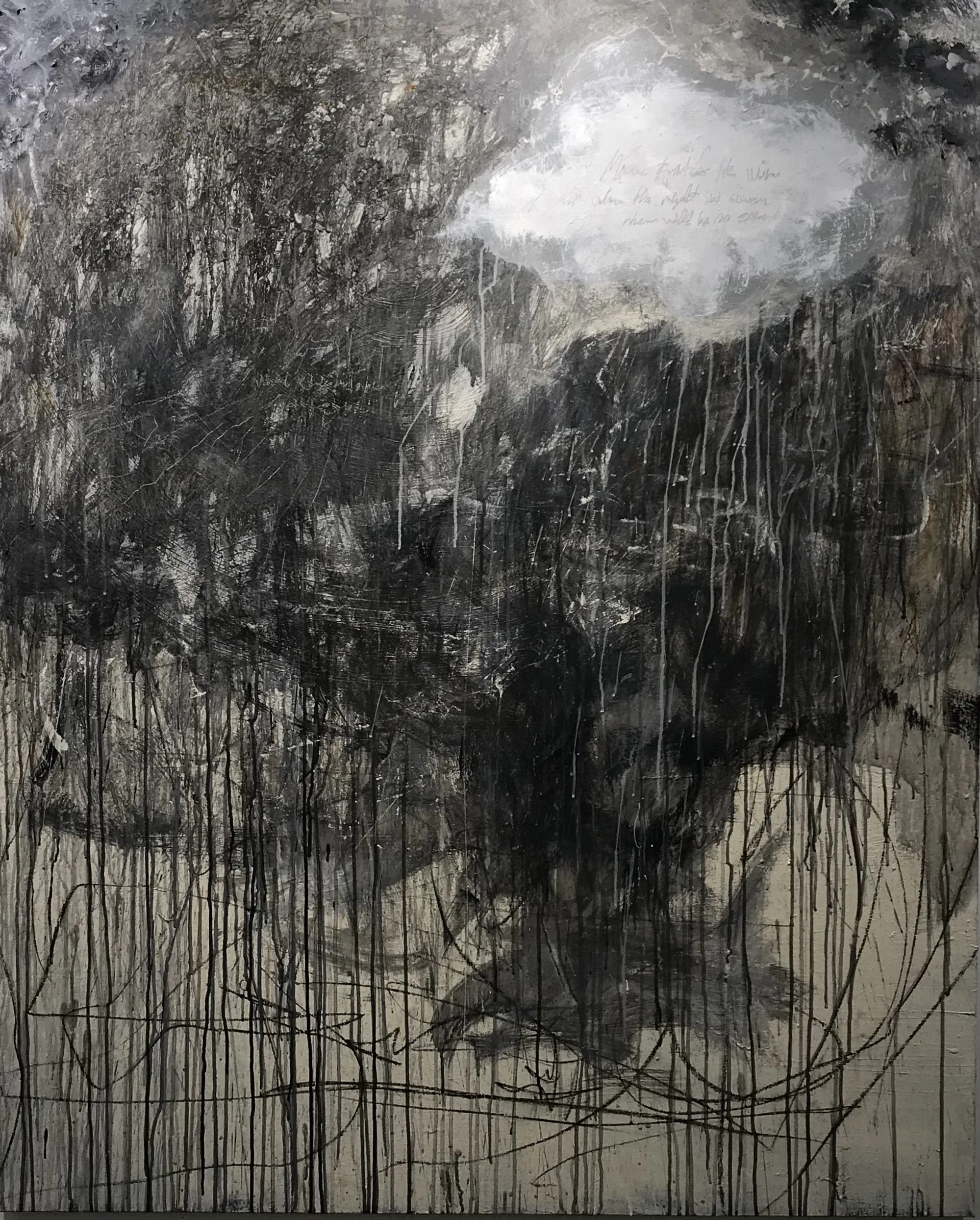 • untitled • (48x60)
