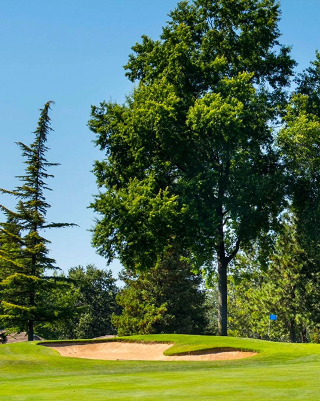 Lush green fairway and sand trap at Cameron Park Country Club golf course in Cameron Park, California, a top destination for golf and recreation in the Sierra foothills.