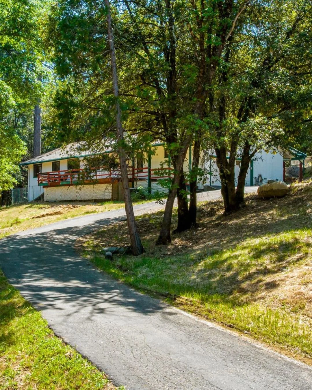 Wooded country property with paved driveway leading to single-story home in Placerville, California foothills.