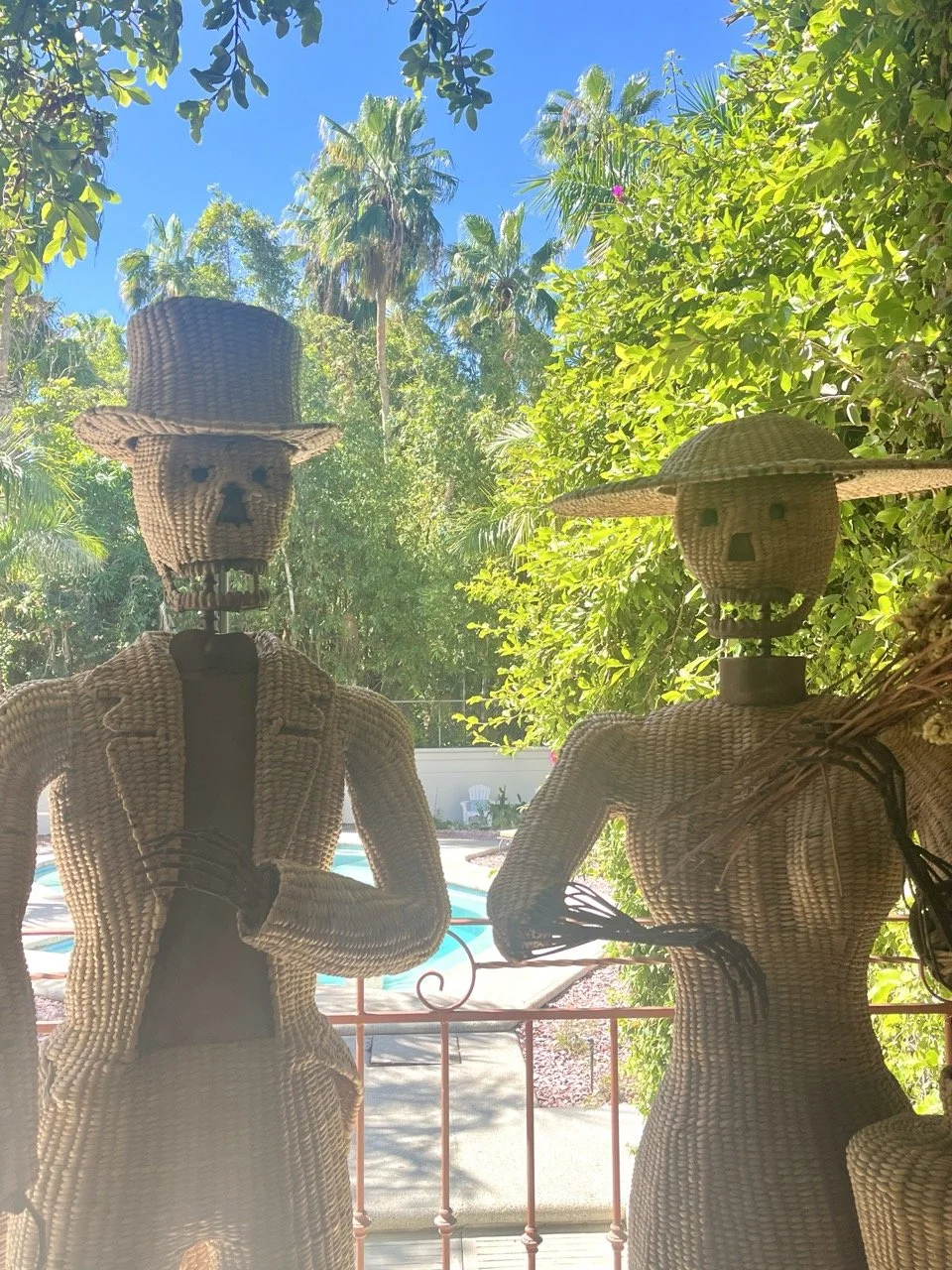 IMG_9829 de tamaño grande.jpeg