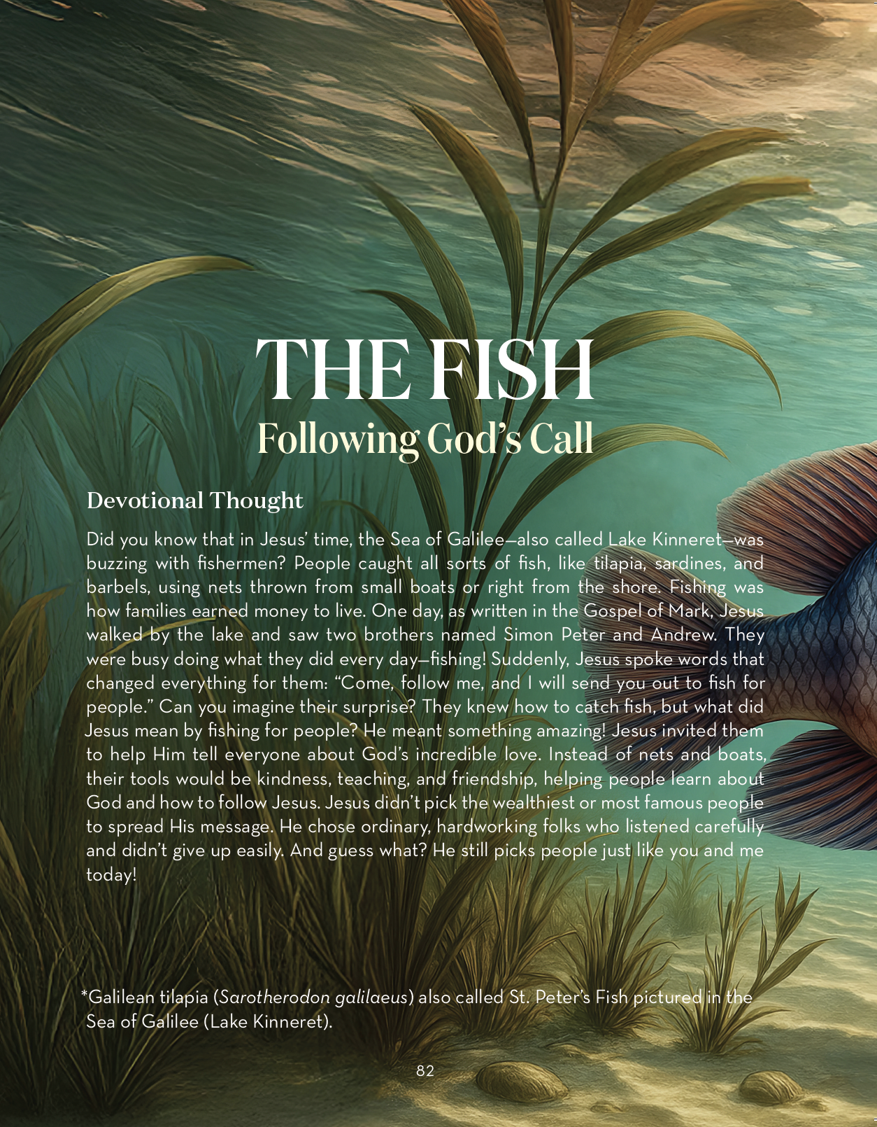 Screenshot 2026-03-01 at 6.44.43 PM.png