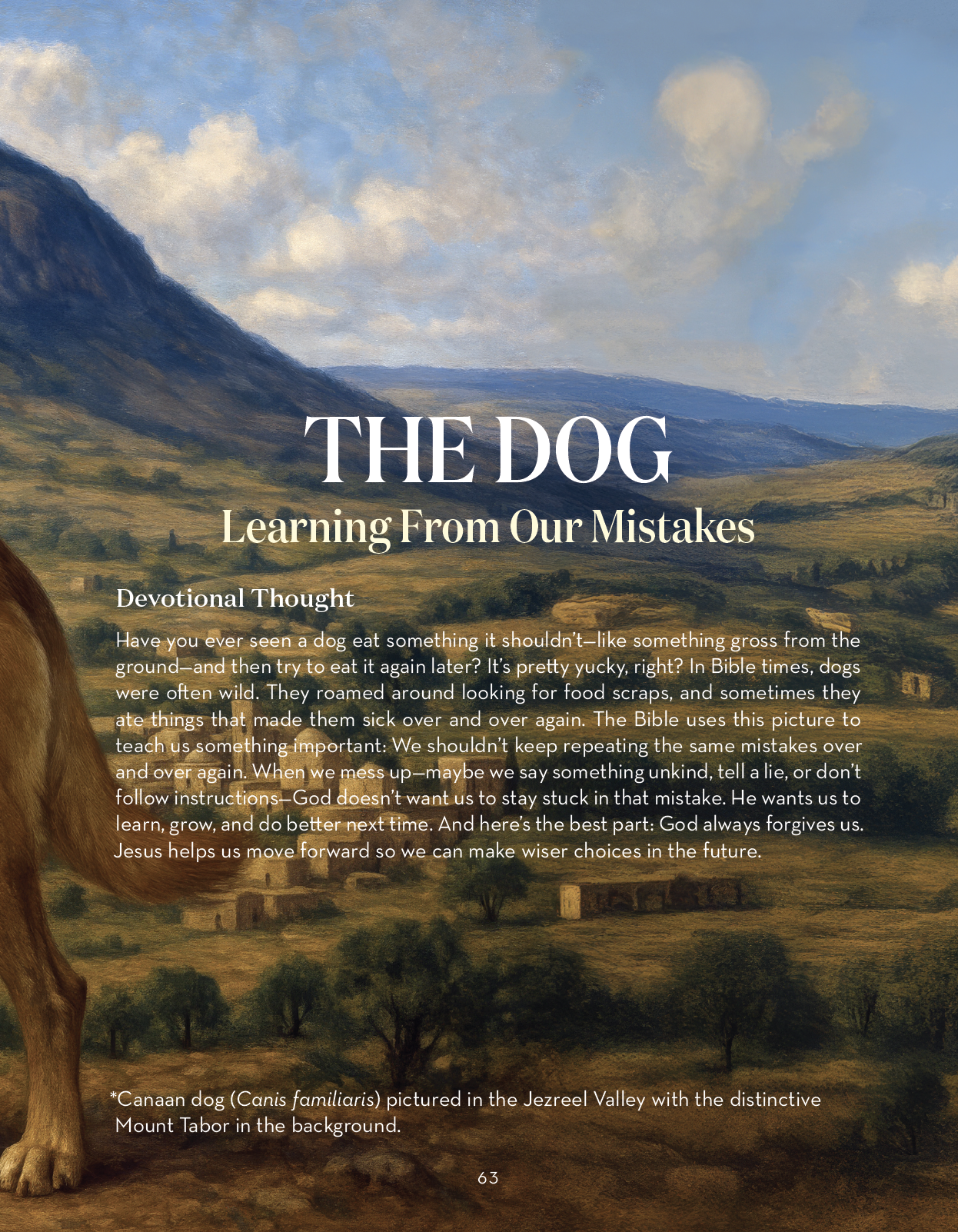 Screenshot 2026-03-01 at 6.43.49 PM.png