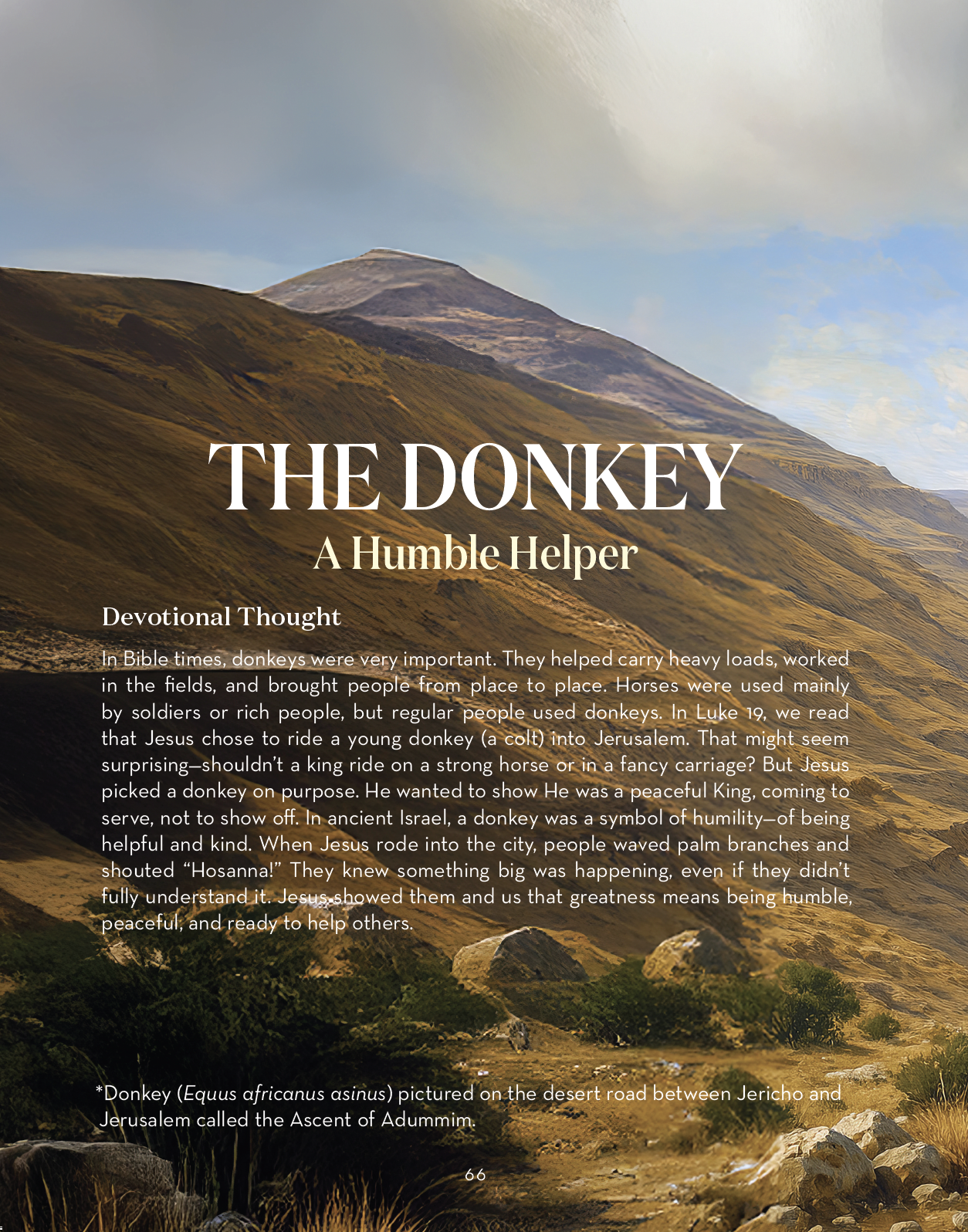 Screenshot 2026-03-01 at 6.44.07 PM.png