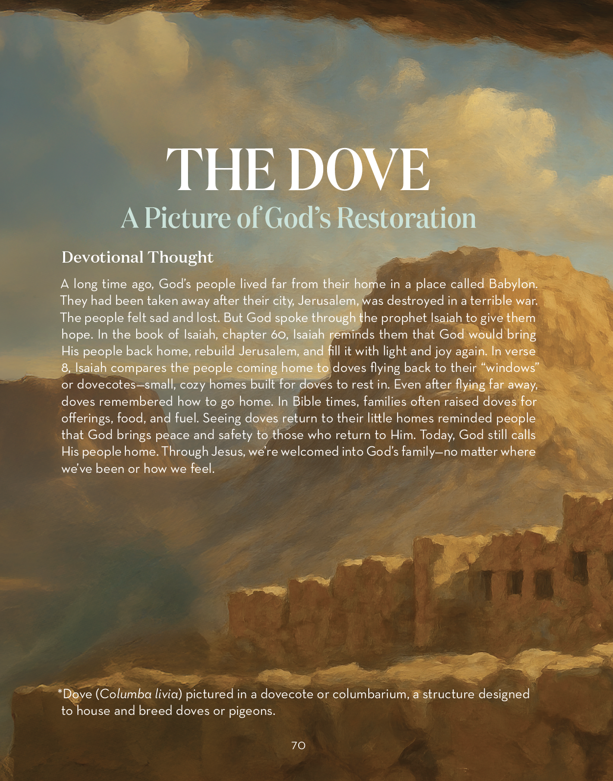 Screenshot 2026-03-01 at 6.44.16 PM.png