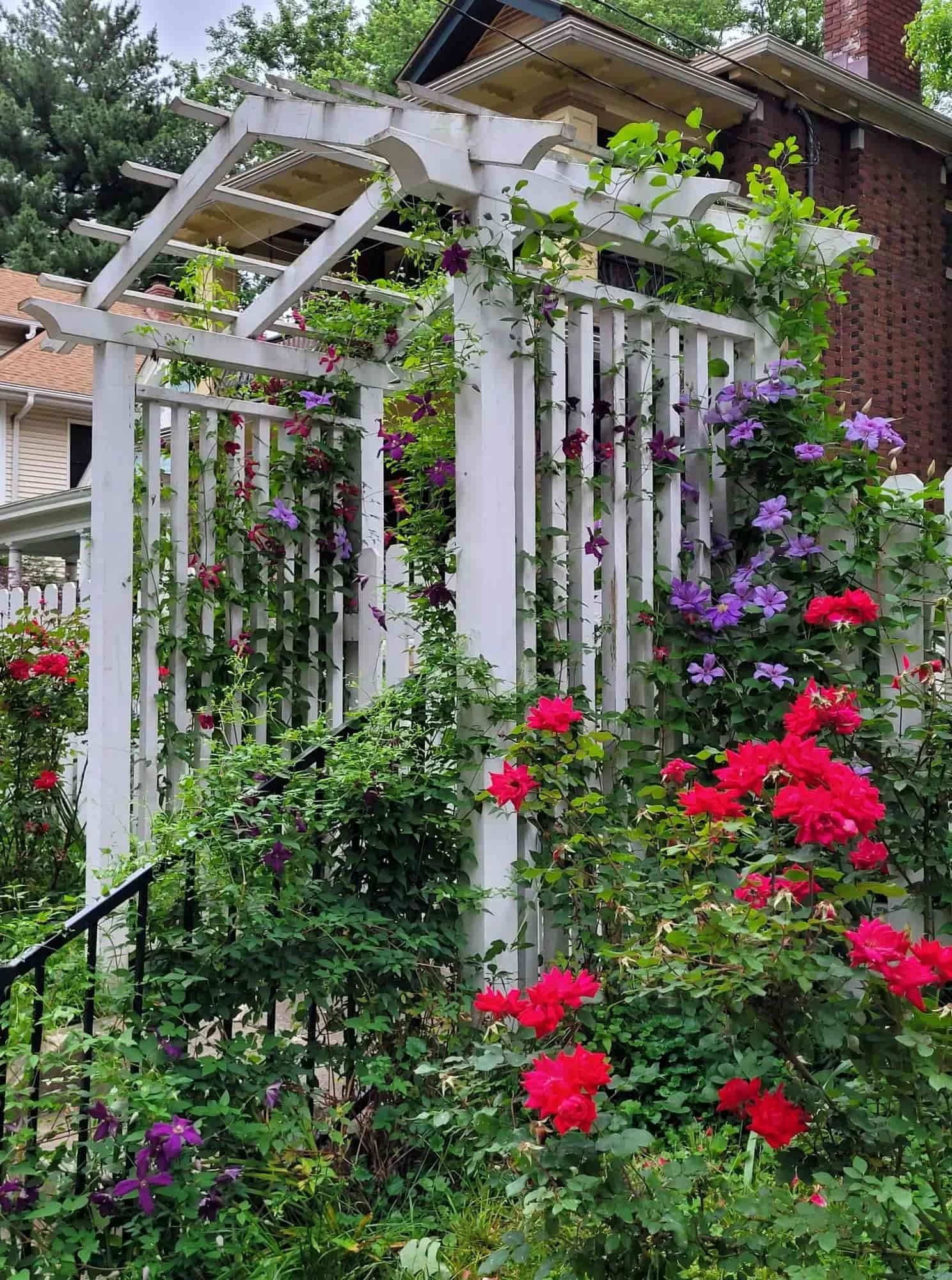 rose arbor