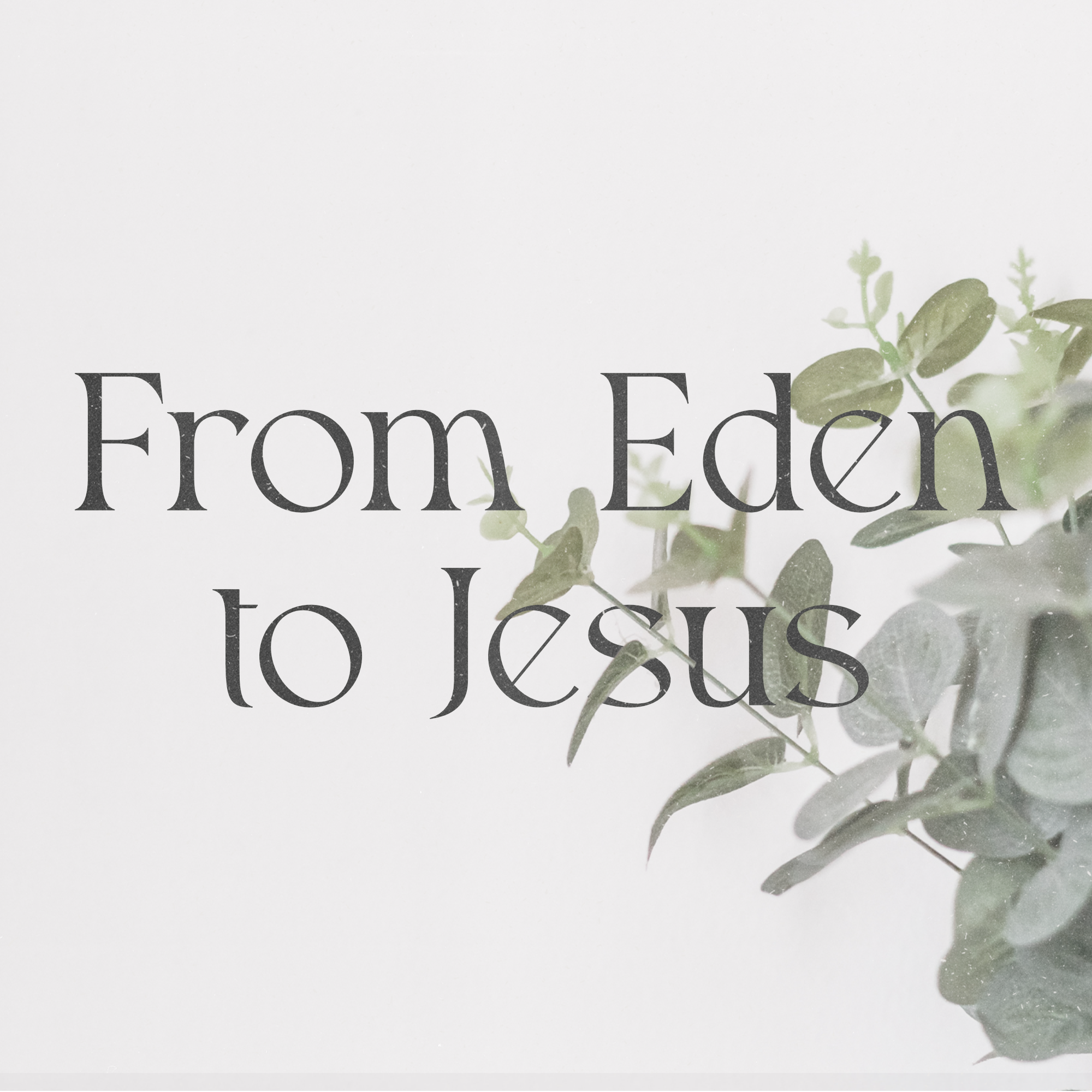 When You Don't Feel Ready to Be Used by God | From Eden to Jesus | Exodus 2-14