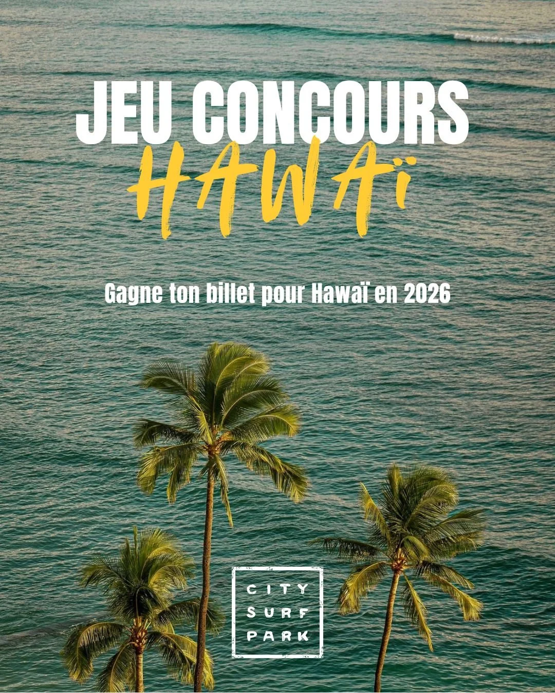 Destination Hawaï : et si un simple bon cadeau pouvait vous emmener au bout du monde ?