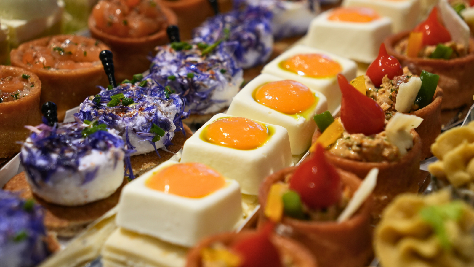 Plate de bouchées apéritives variées avec œufs mollets, tartare, et petits flans.