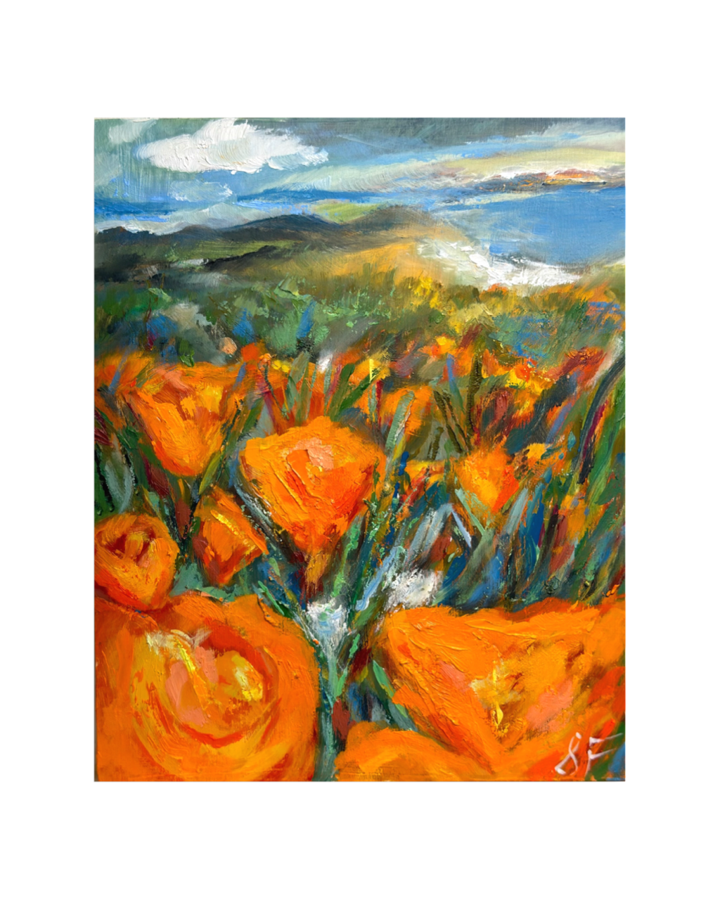Golden Poppies_8x10_oil on woodpanel_2026_ShaneyFago.PNG