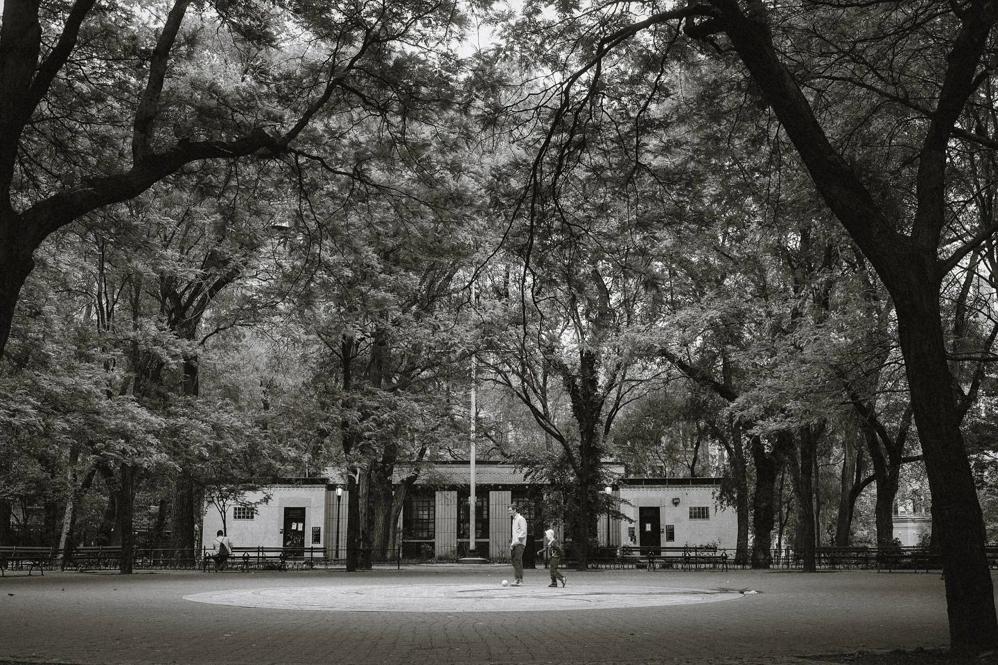 NYC &mdash;SUMMER 2025 📸: @sarahmarieofficial