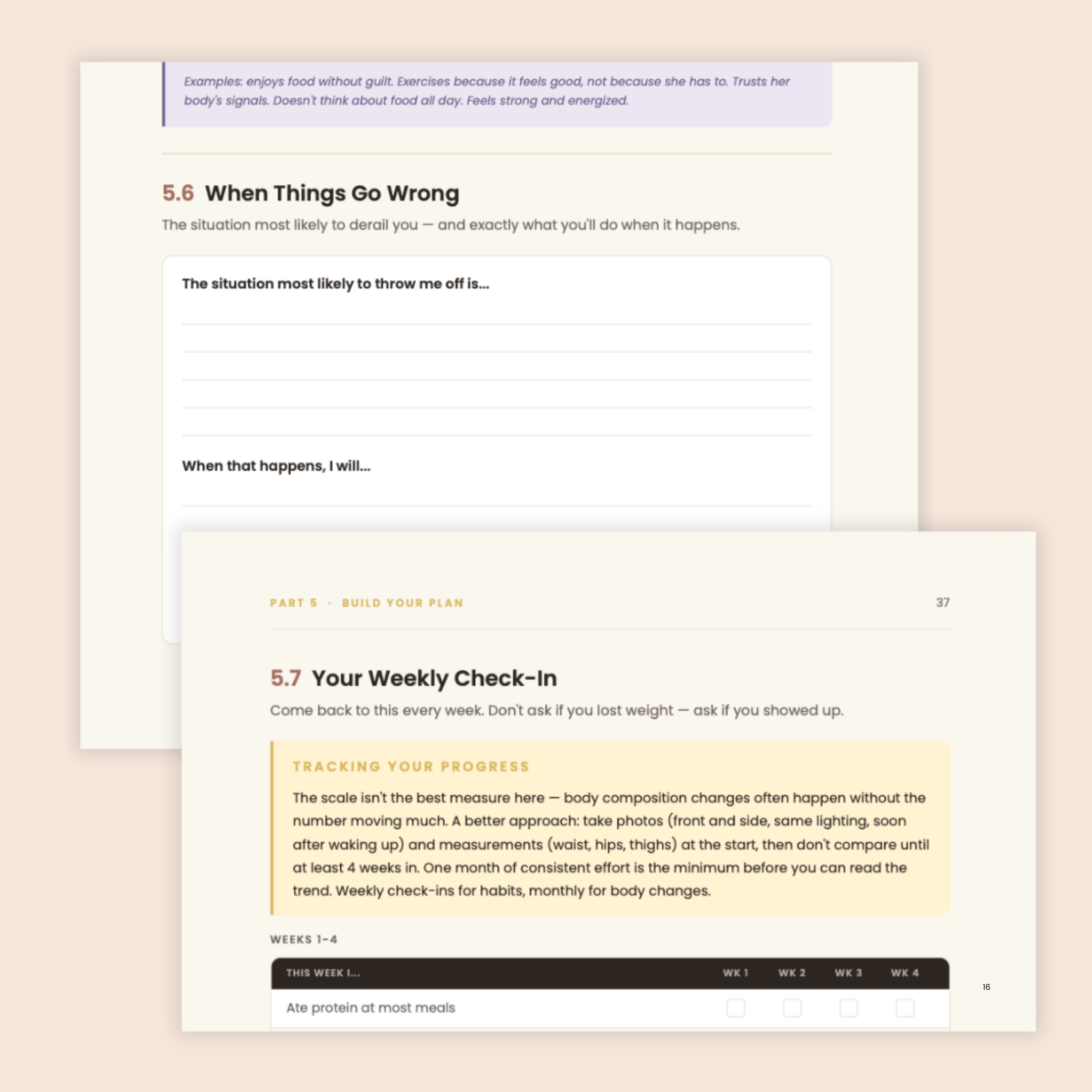 FLG mockup 3.png