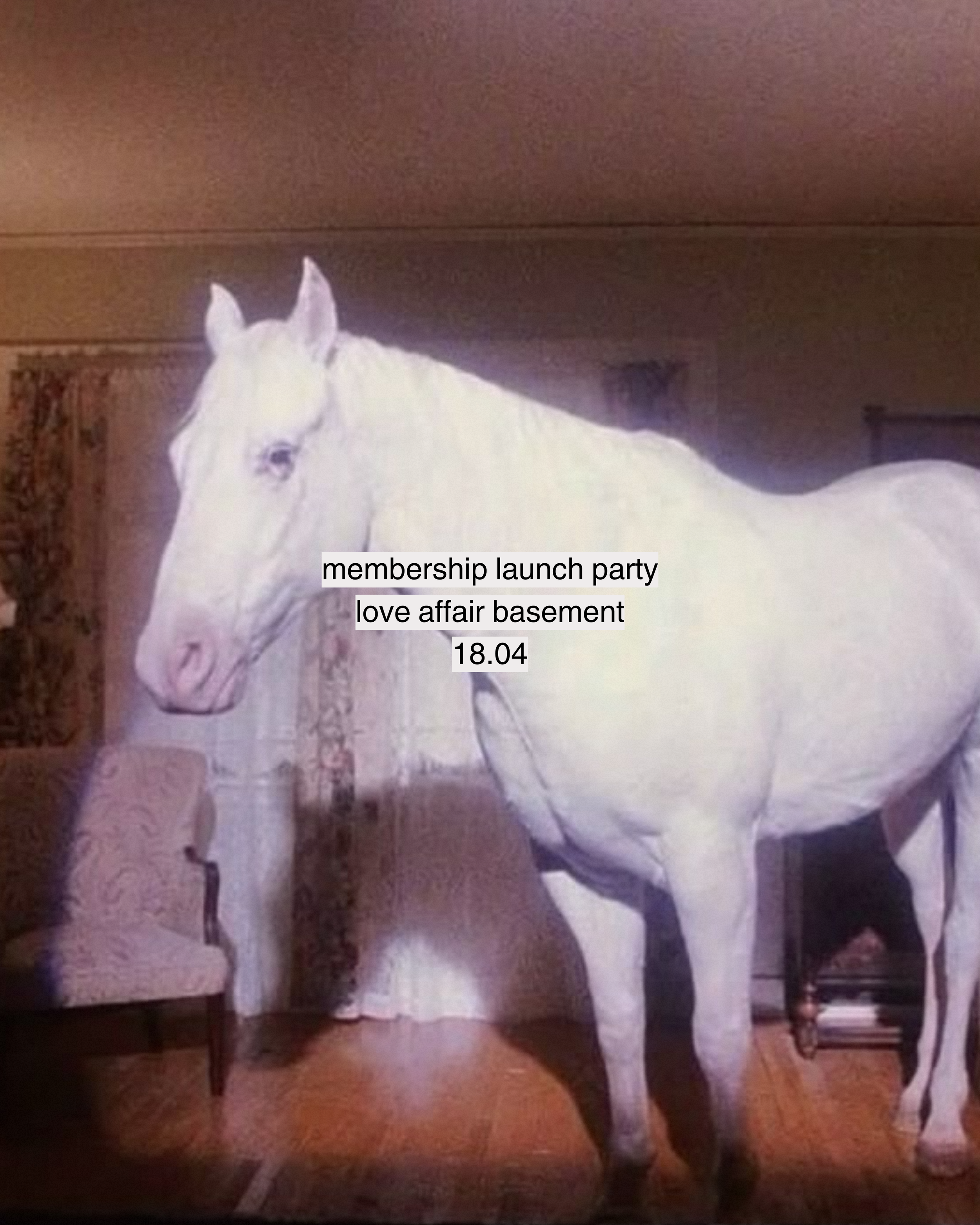 Membership Launch | A Twin Peaks Party