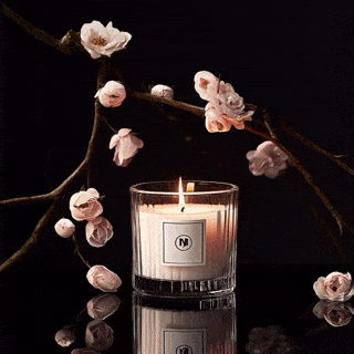dash2002_commercial_photoshoot_two_glass_candles_rose_pedals__b2fa4f5e-eb87-4d7d-aaef-cb7946575353_1-2.gif