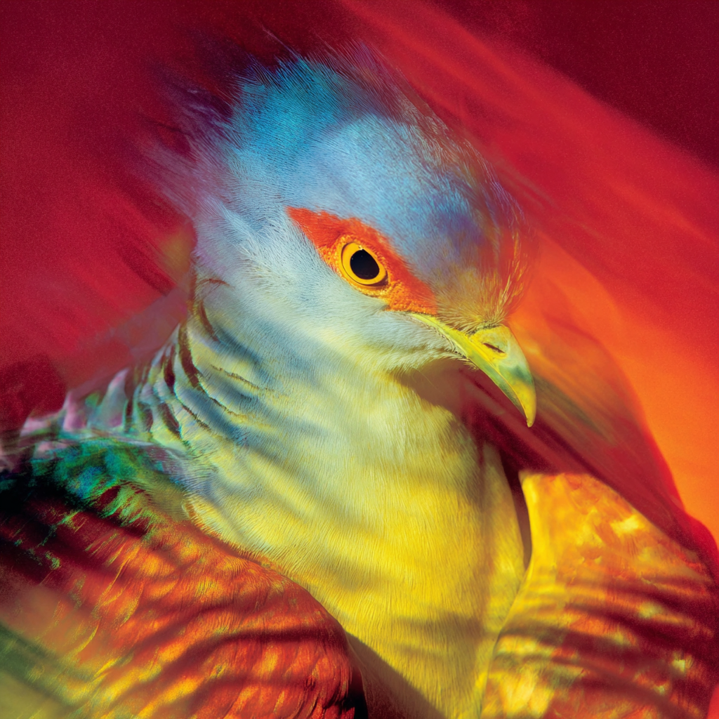 dash2002_cinematic_portrait_of_a_bird_--profile_svmwv45_--v_7_16204202-a1ed-464c-ba44-f1b223b3ea40_0.png