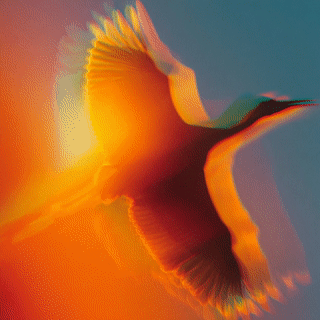dash2002_a_cinematic_film_portrait_of_a_beautiful_crane_bird__729aaa63-50e0-4991-9b15-aad18d1680fe_3.gif