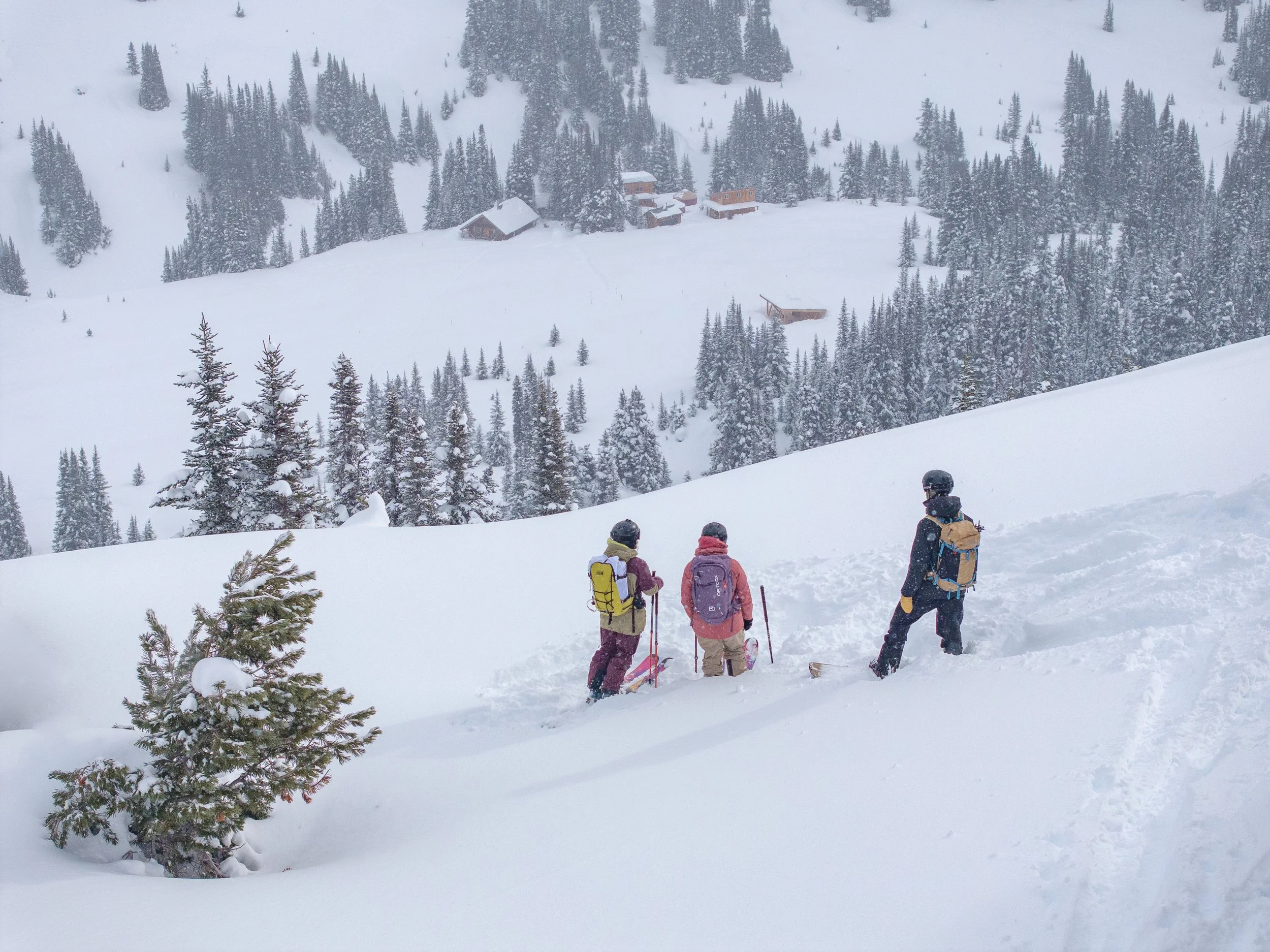 250320_whitecap_-19 (1).jpg