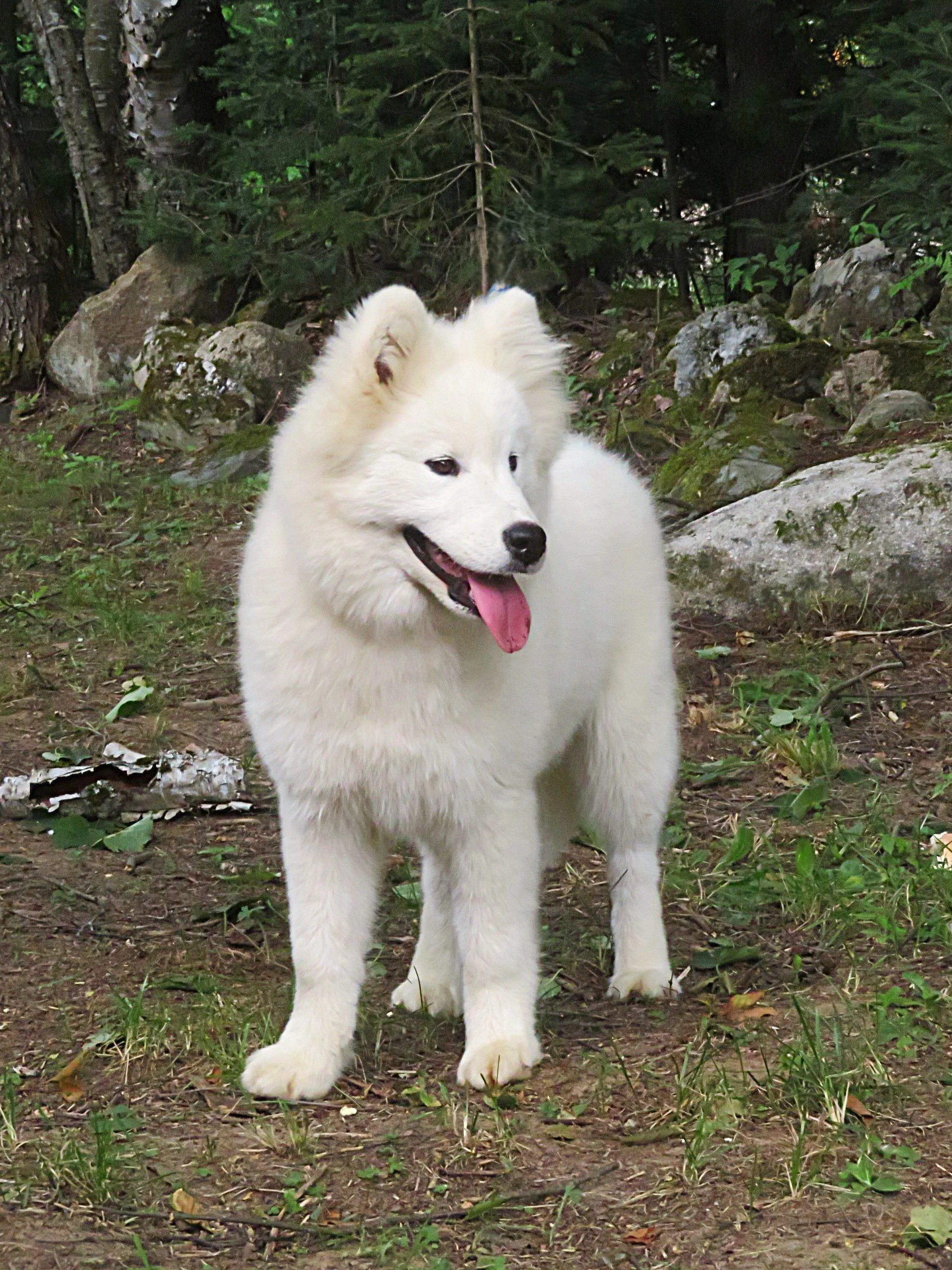 MIMG_5881.JPG