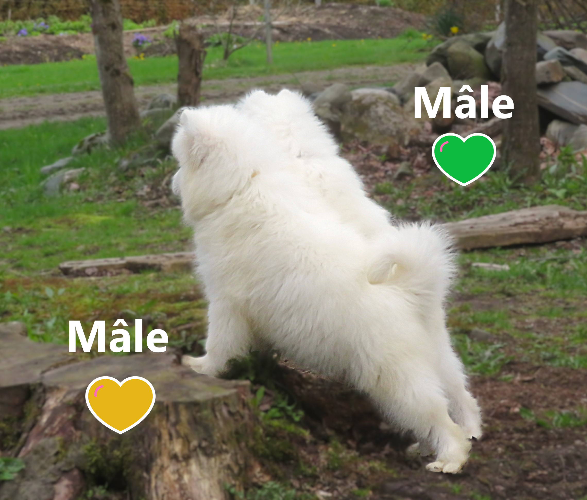 MIMG_4417.png