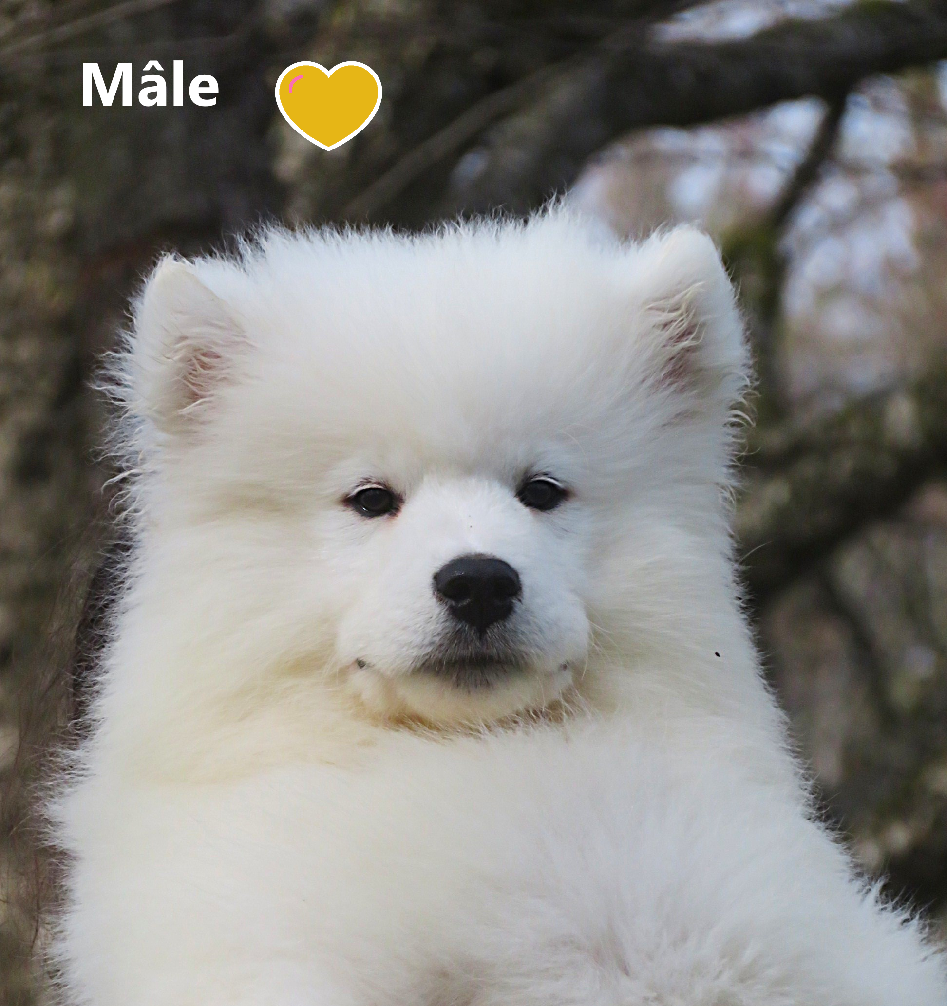 MIMG_4479.png 2.png
