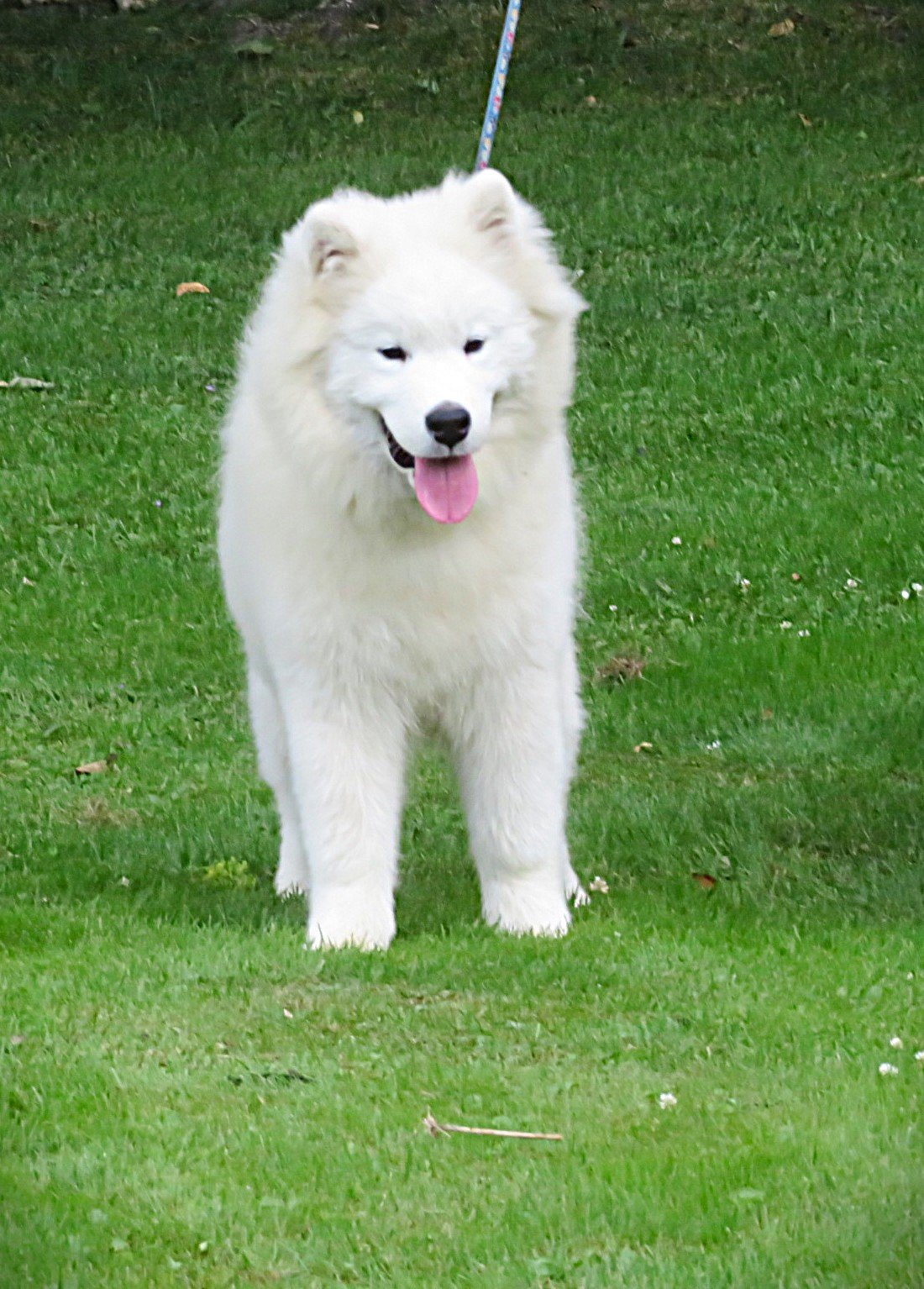 MIMG_5933.JPG