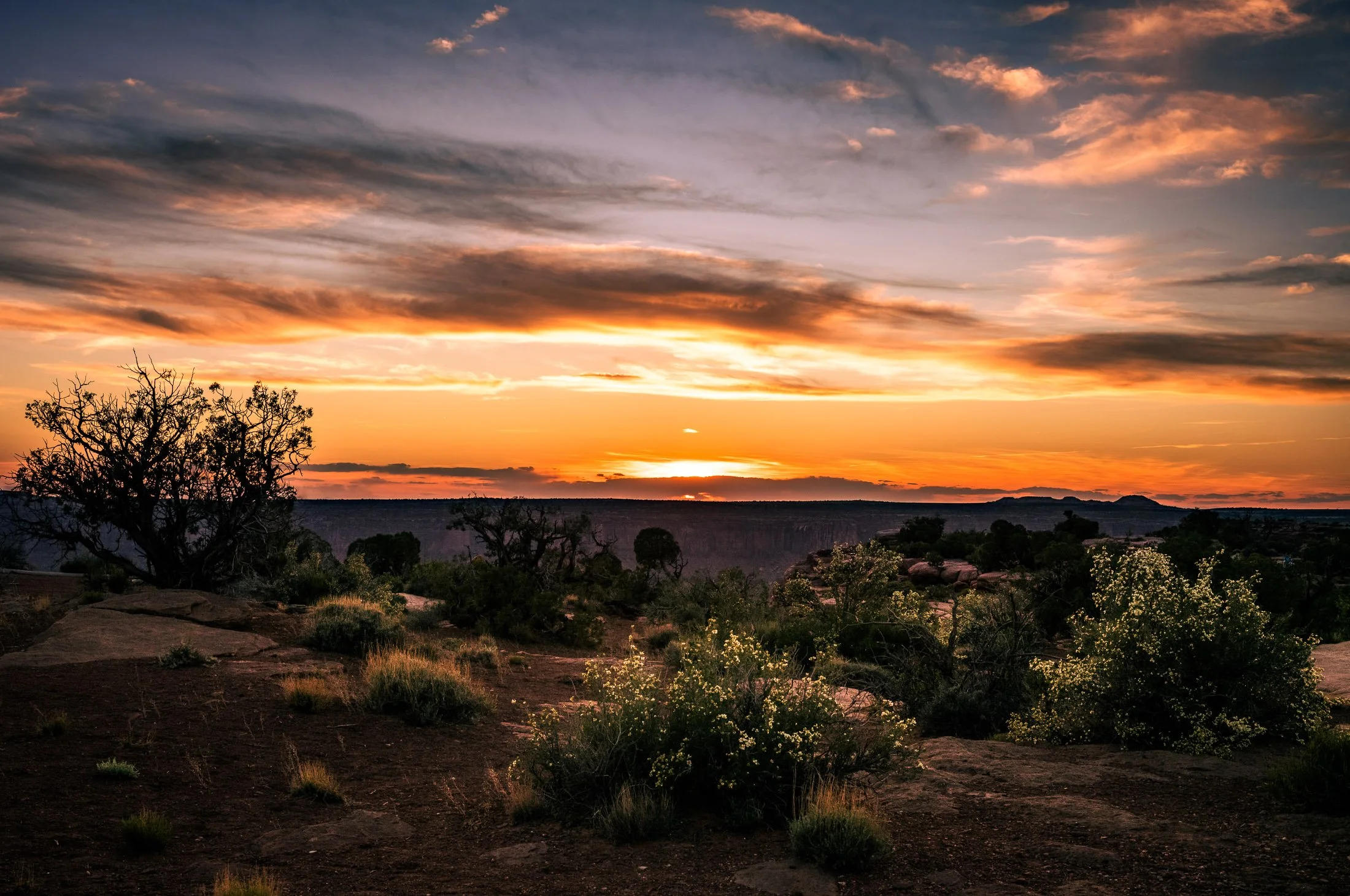 Sunset over Dead Horse Point with a semi-arid landscape with scattered trees, shrubs, and rocks, under a sky with layered clouds illuminated by fading sunlight.