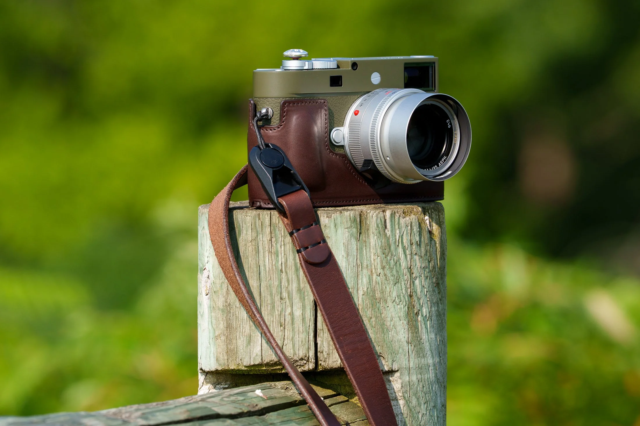 A Leica M11-P Safari camera with a brown leather case and strap resting on a weathered wooden post outdoors with a blurred green background.