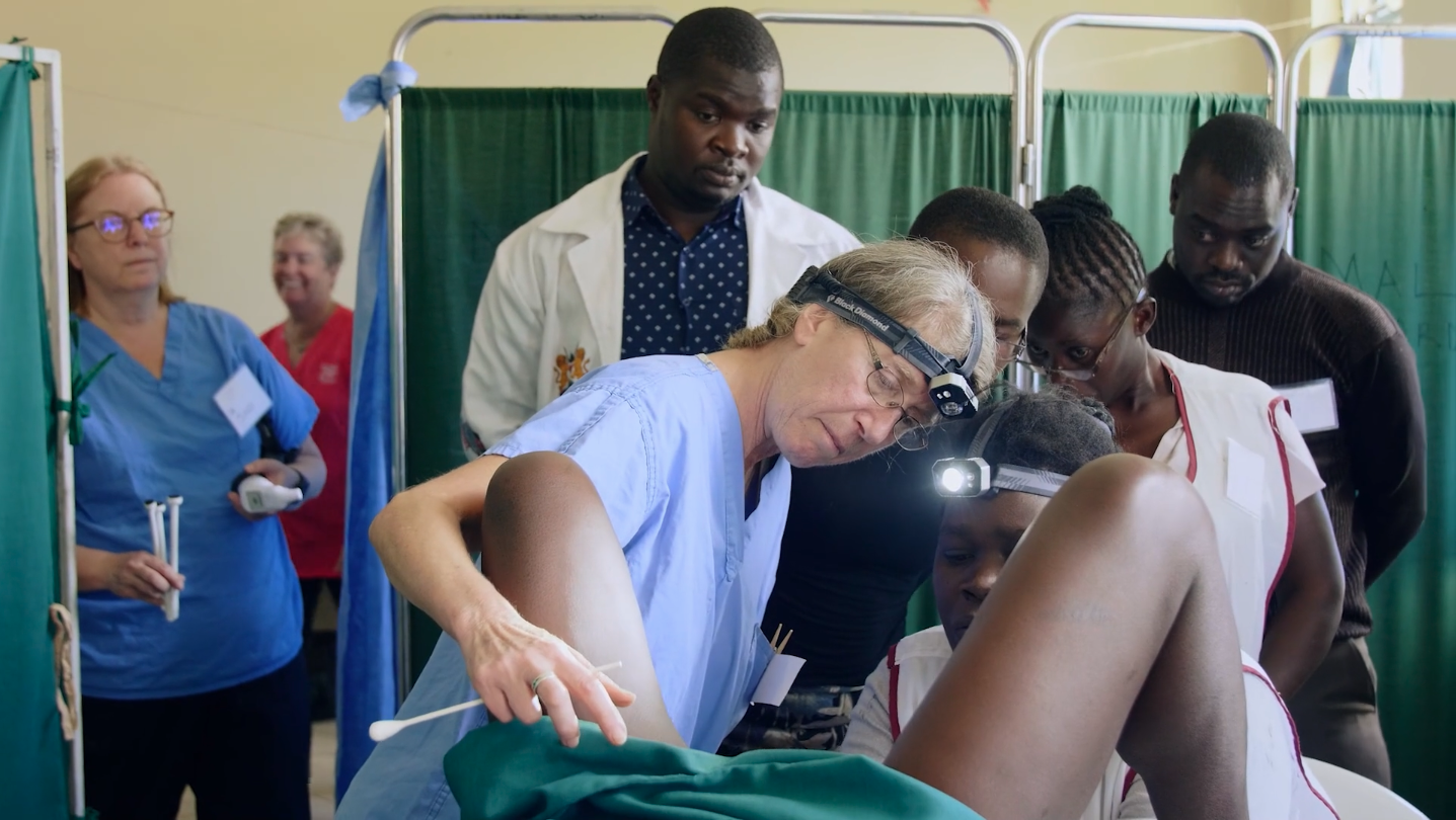 Cervical cancer screening in developing countries - PINCC - Preventing Cervical Cancer Globally, Texas