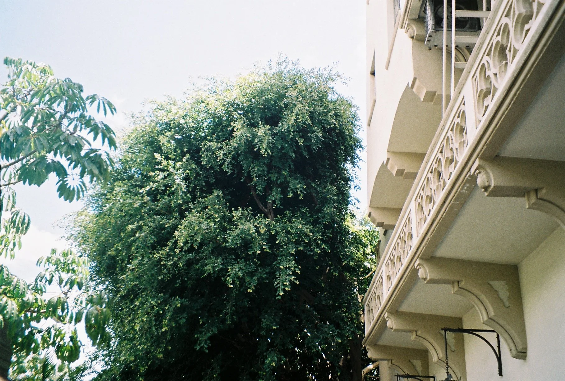 Chateau Marmont. 
May 2024.
