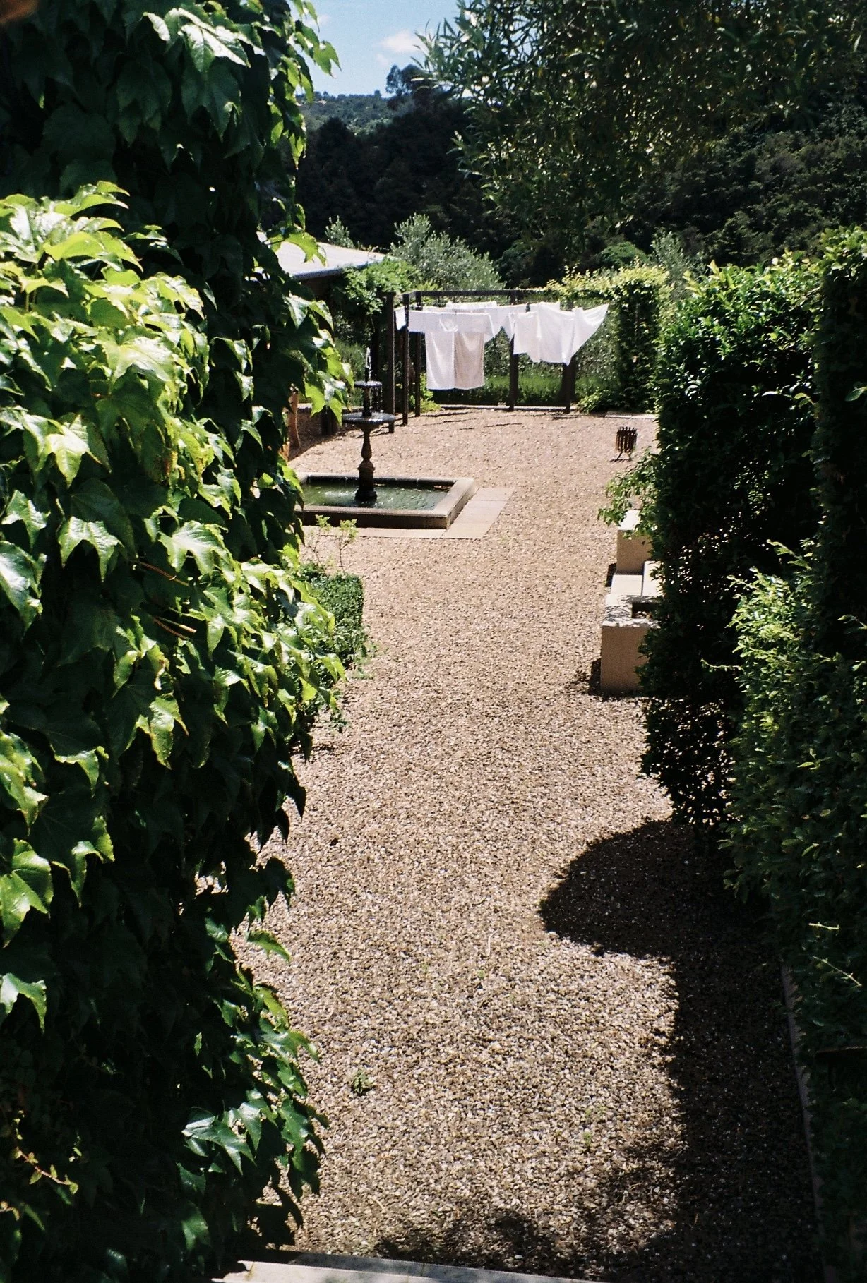 WAIHEKE '25
